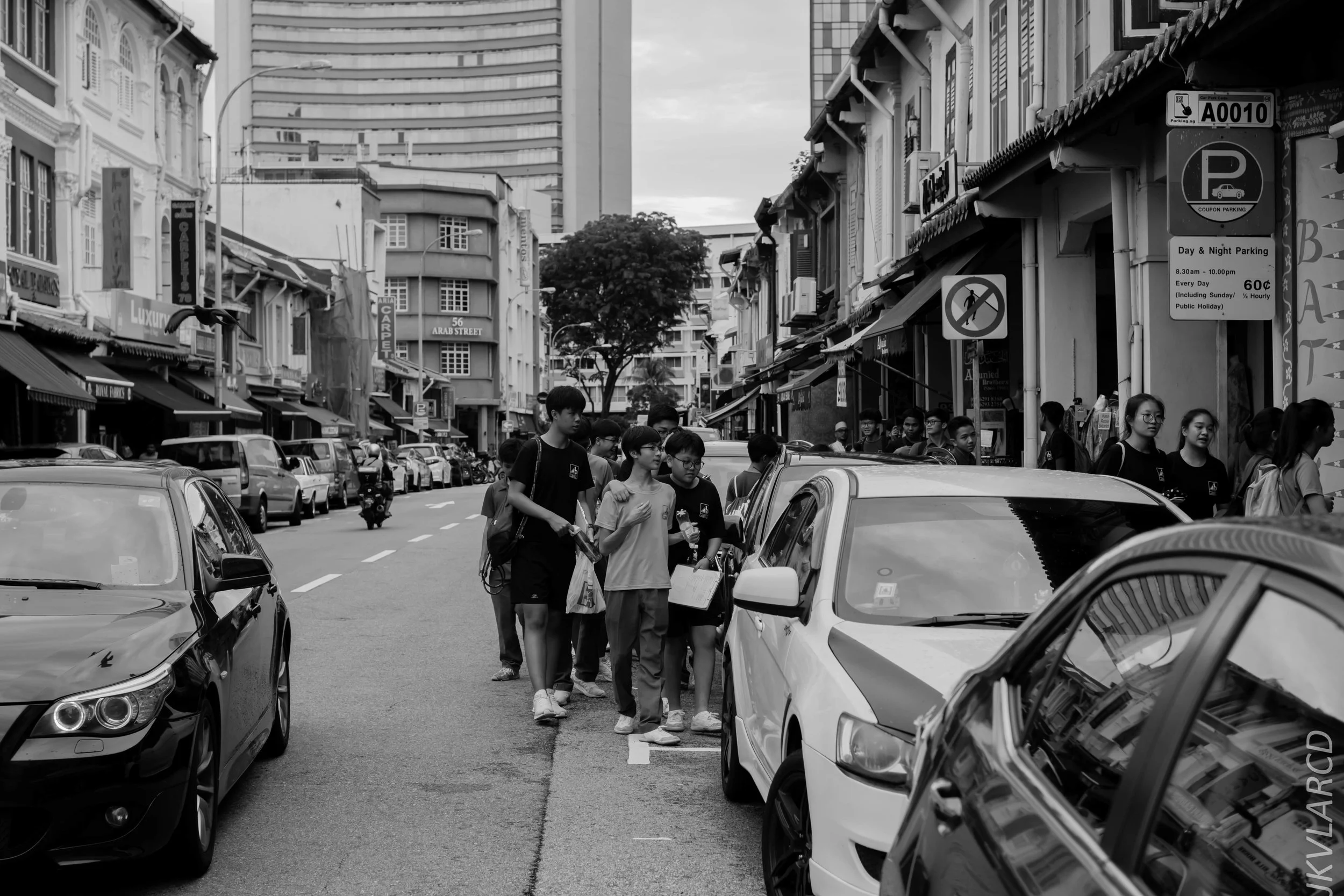 EOS 7D Mark II_2018_11_02_3115.jpg