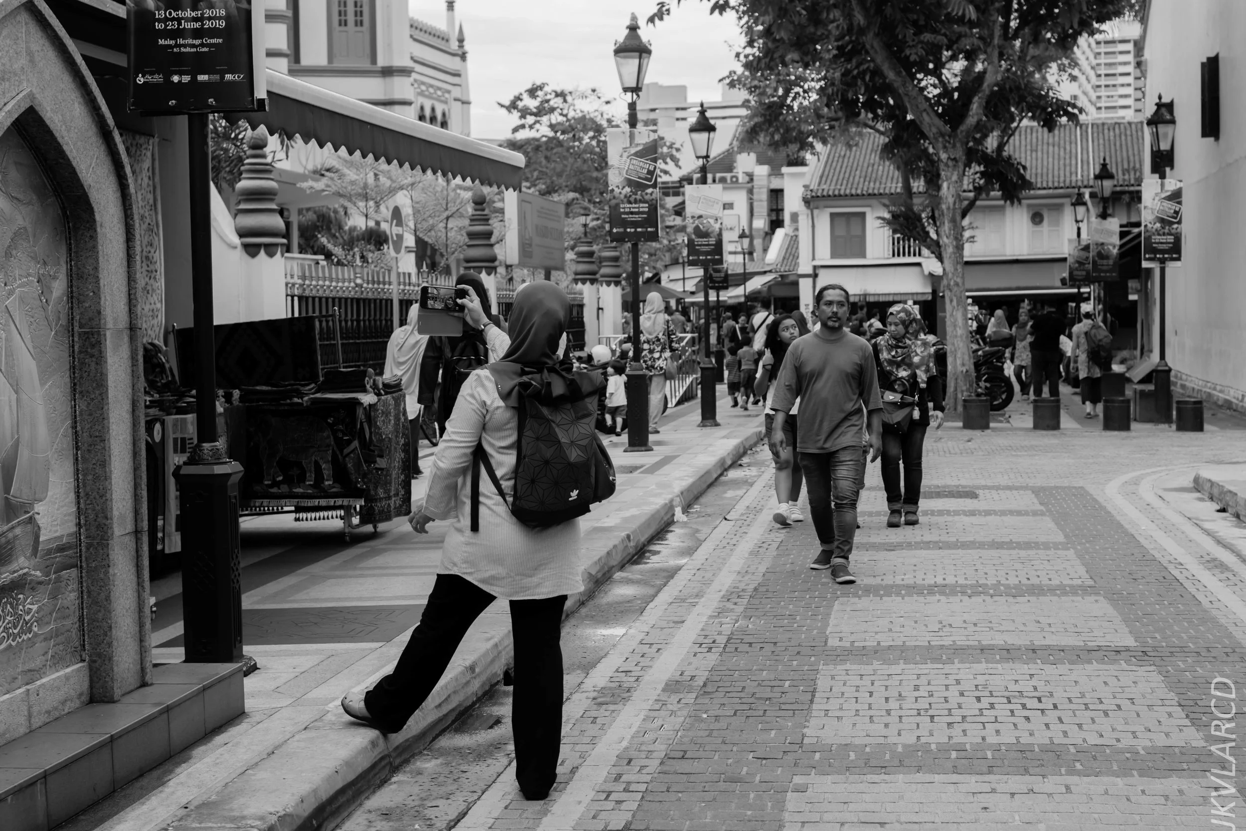 EOS 7D Mark II_2018_11_02_3117.jpg