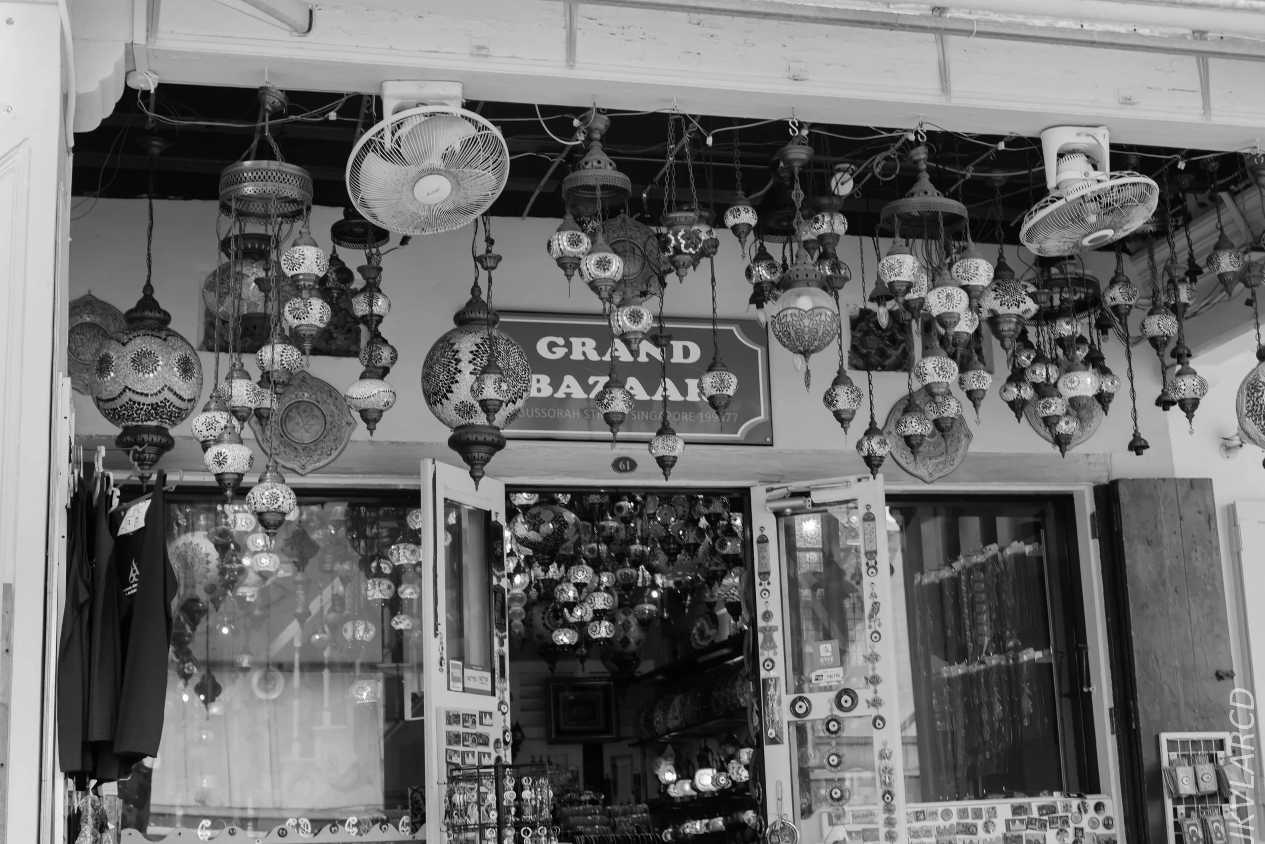 EOS 7D Mark II_2018_11_02_3122.jpg