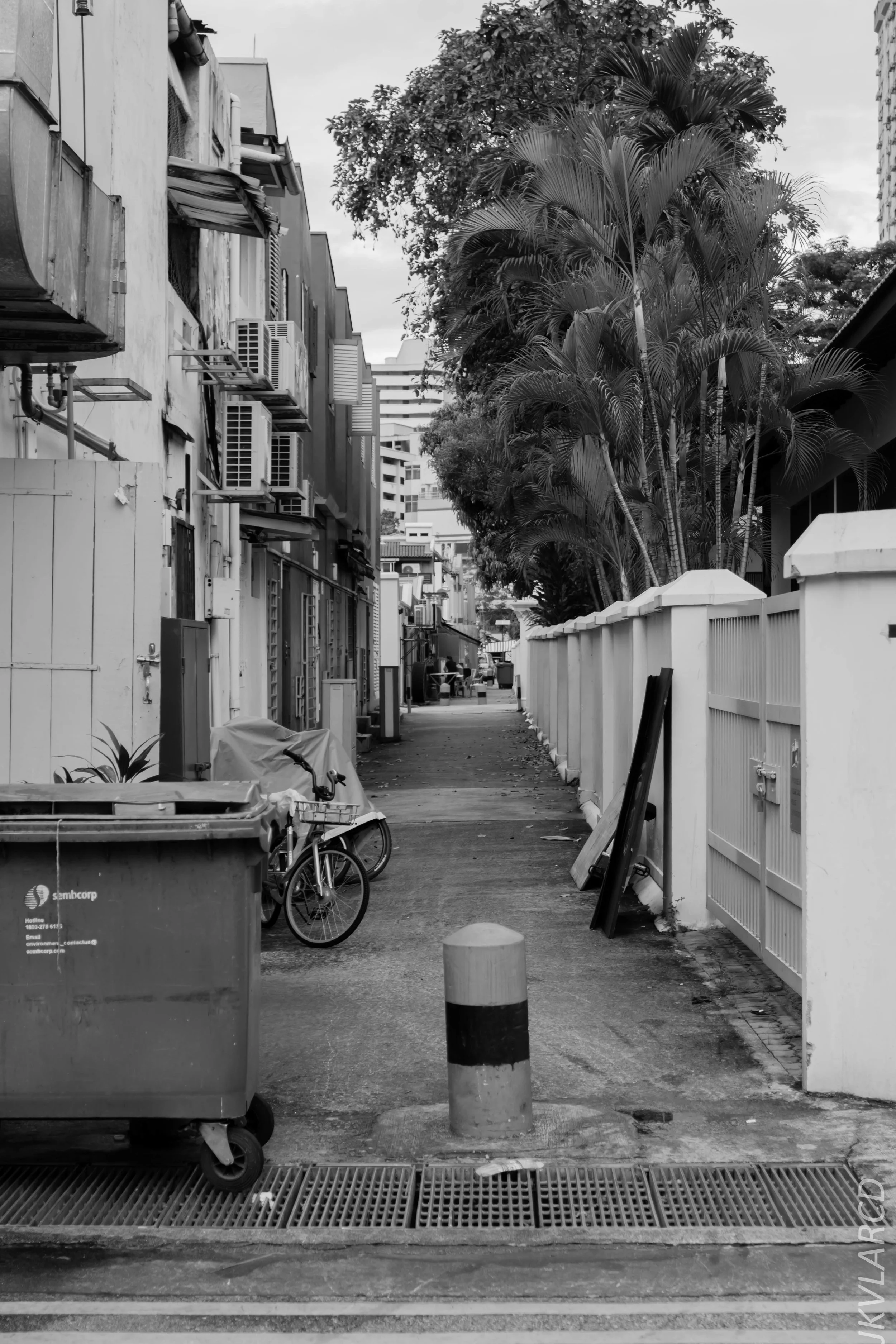 EOS 7D Mark II_2018_11_02_3138.jpg