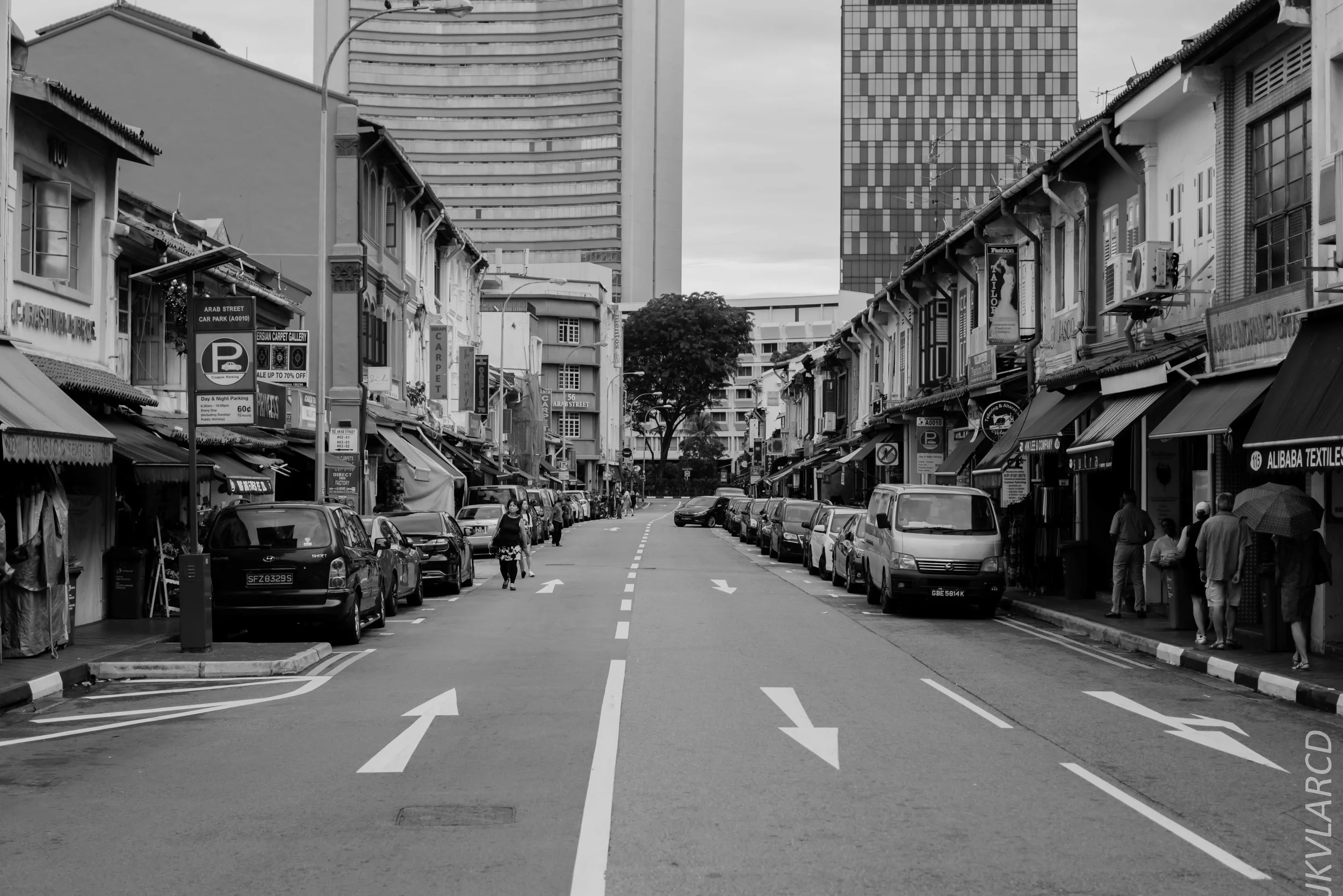 EOS 7D Mark II_2018_11_02_3145.jpg