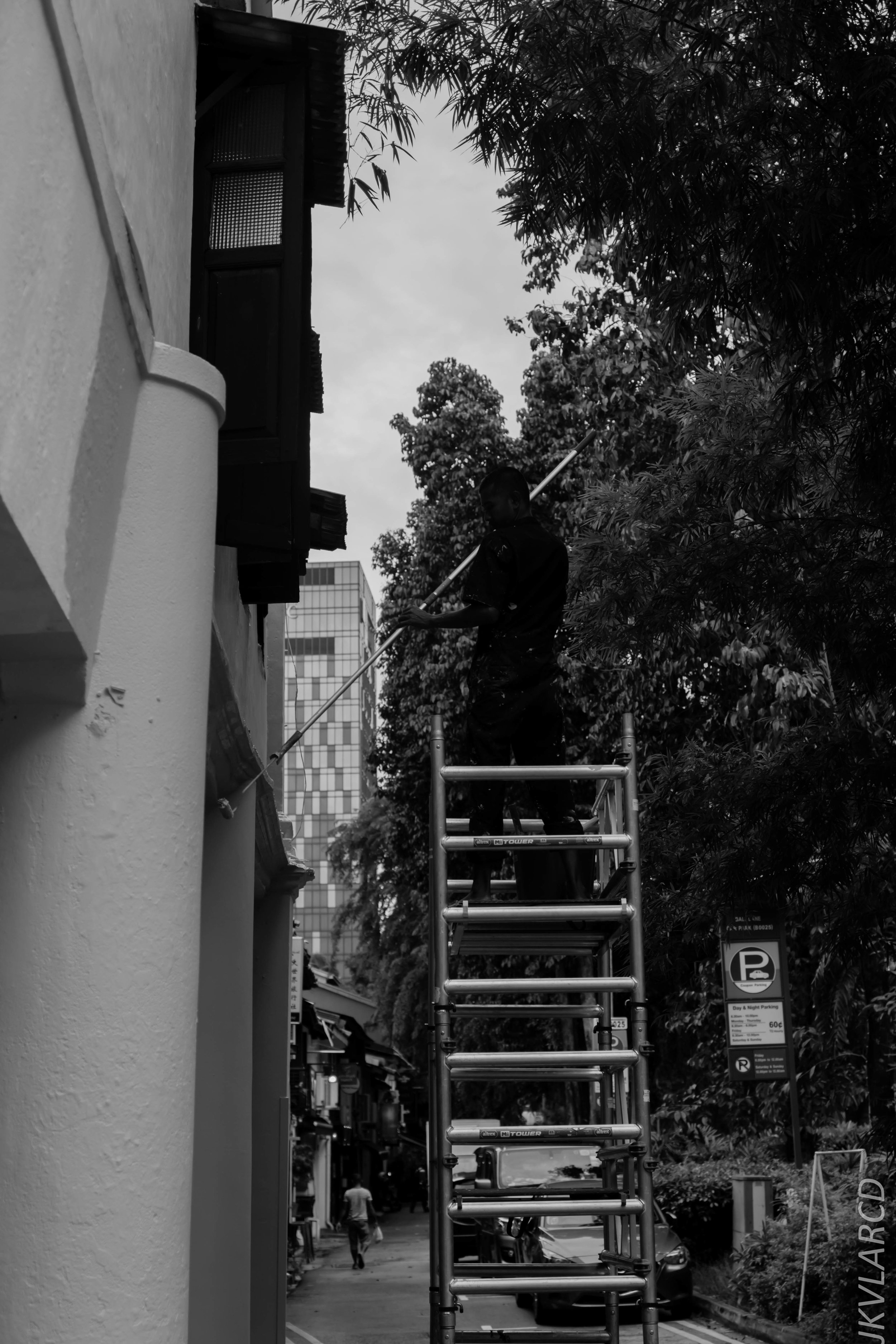 EOS 7D Mark II_2018_11_02_3146.jpg