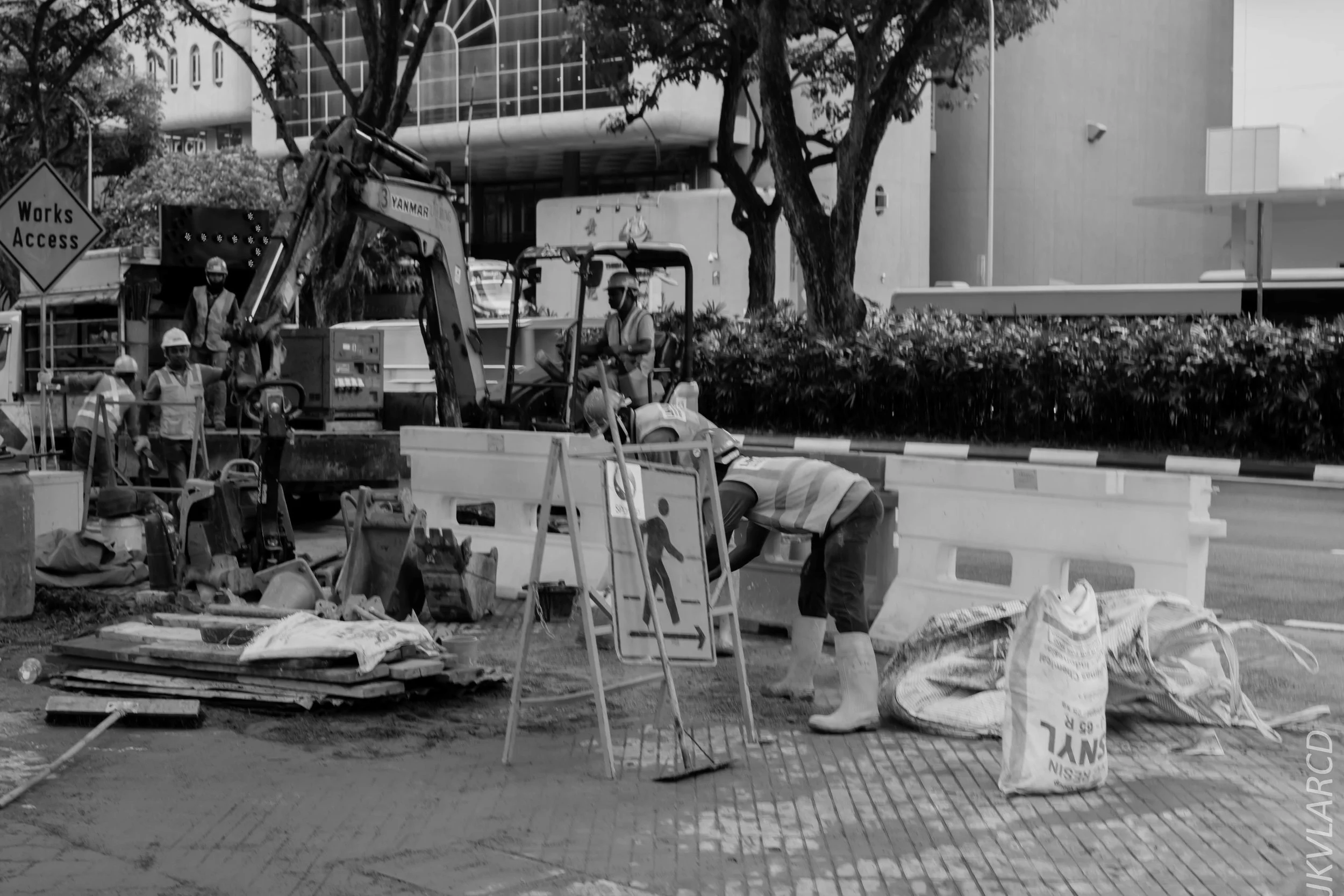 EOS 7D Mark II_2018_11_02_3157.jpg