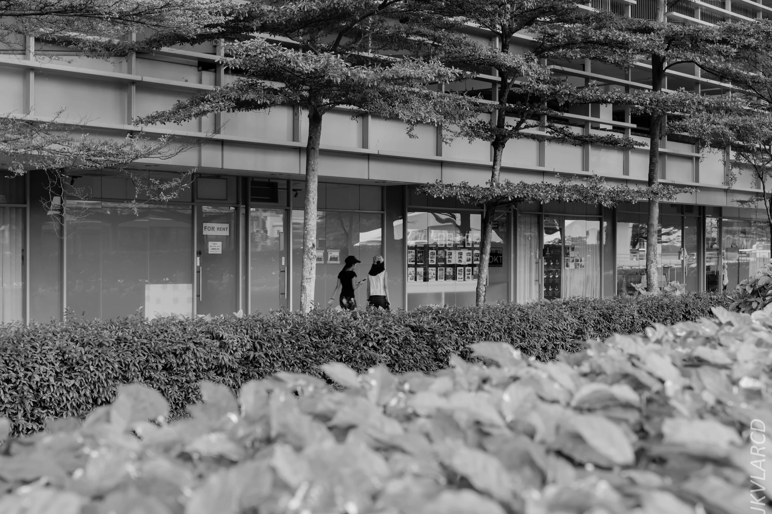 EOS 7D Mark II_2018_11_02_3163.jpg