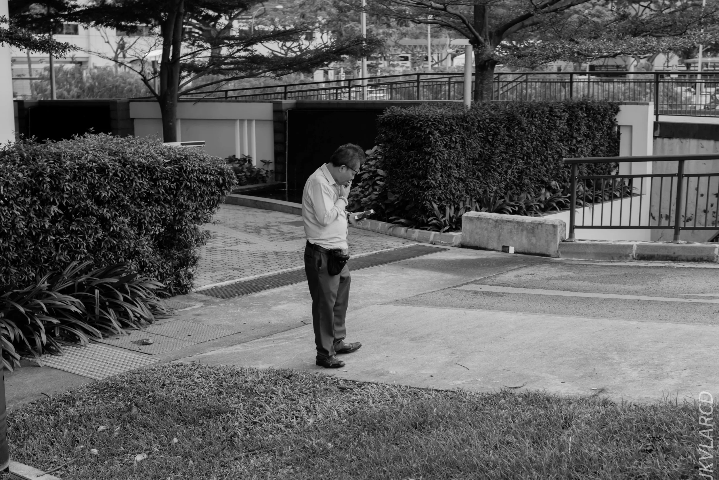 EOS 7D Mark II_2018_11_02_3164.jpg