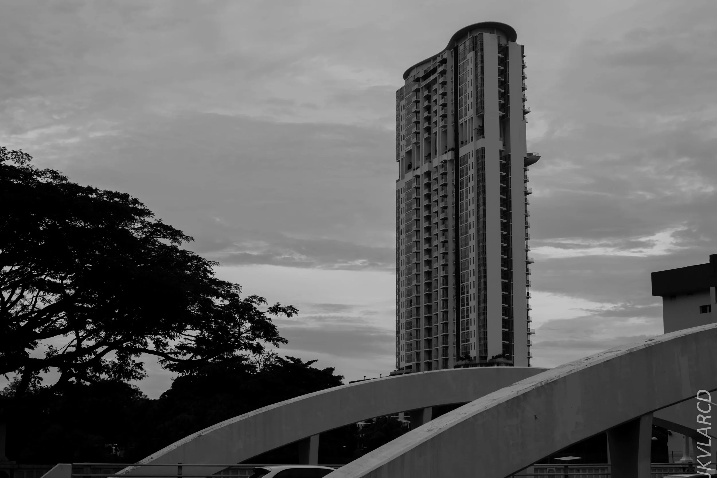 EOS 7D Mark II_2018_11_02_3166.jpg