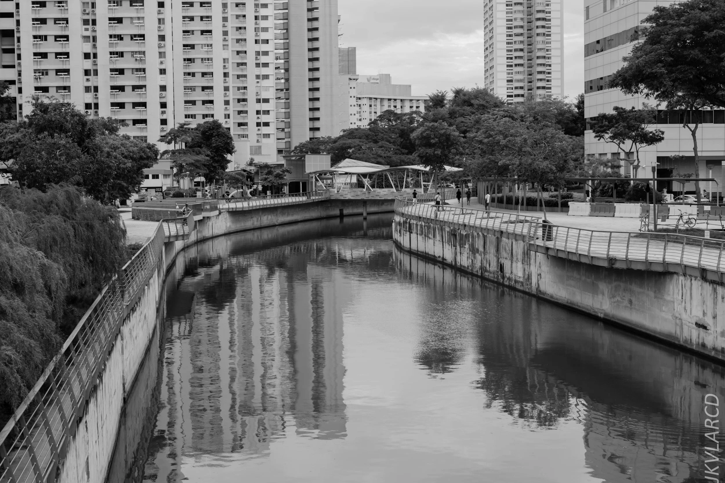 EOS 7D Mark II_2018_11_02_3165.jpg