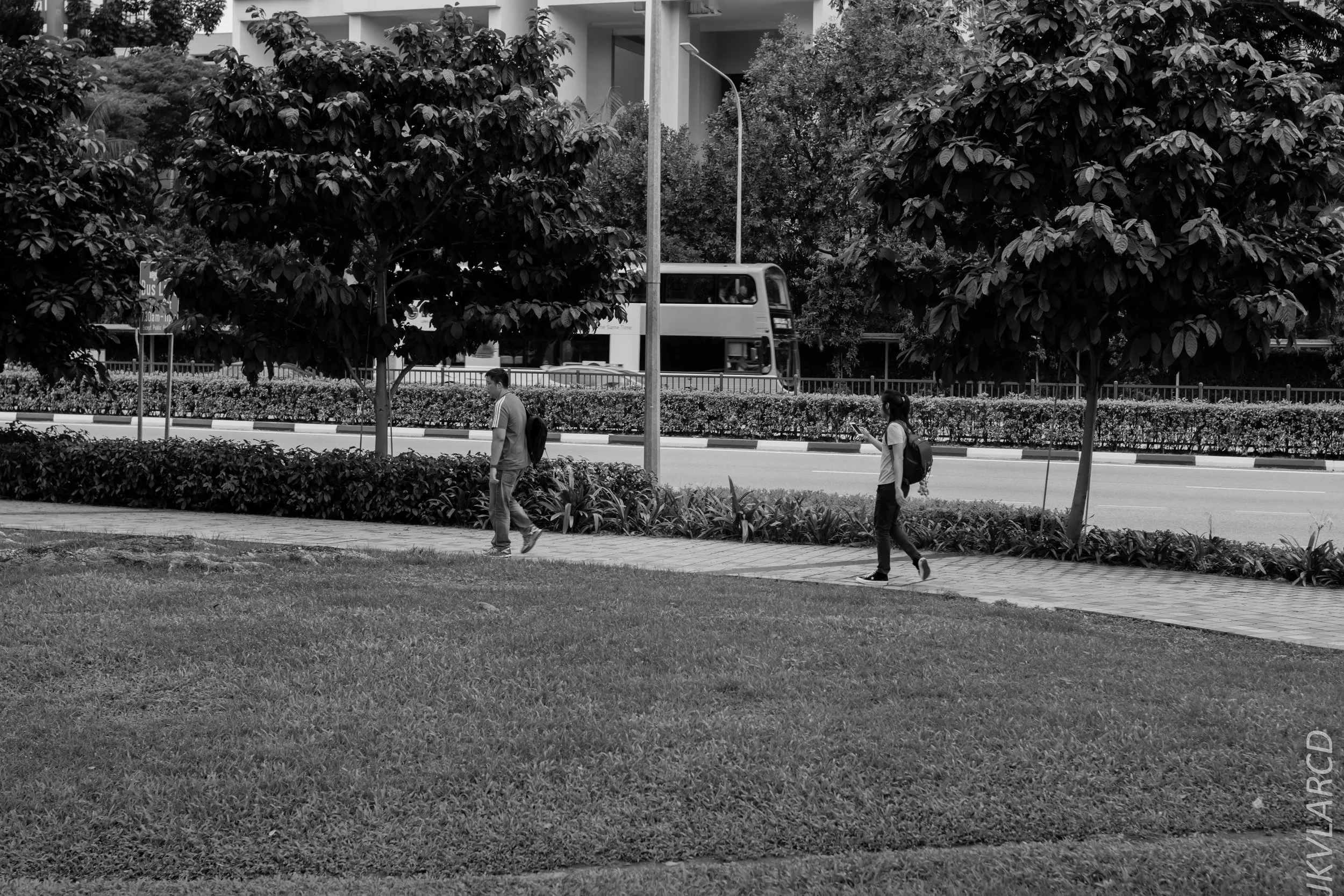 EOS 7D Mark II_2018_11_02_3168.jpg