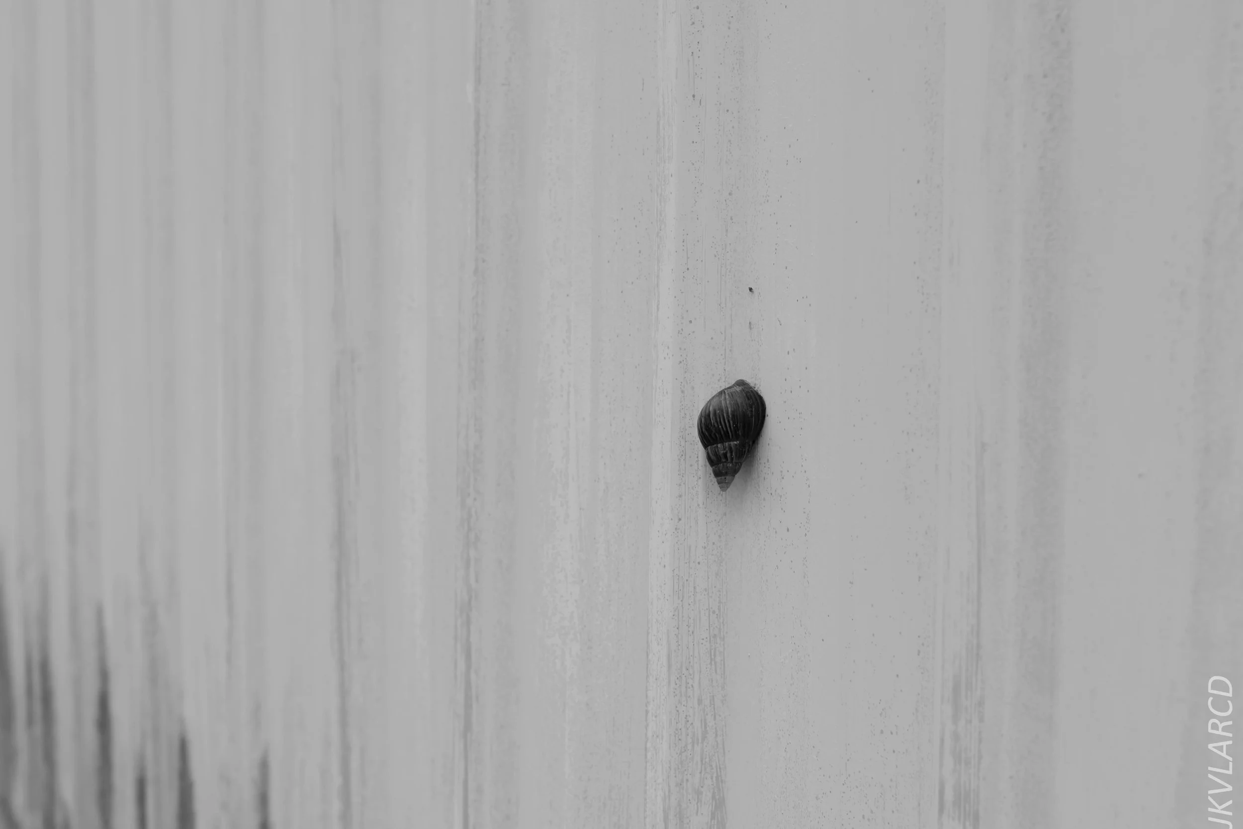 EOS 7D Mark II_2018_11_02_3172.jpg