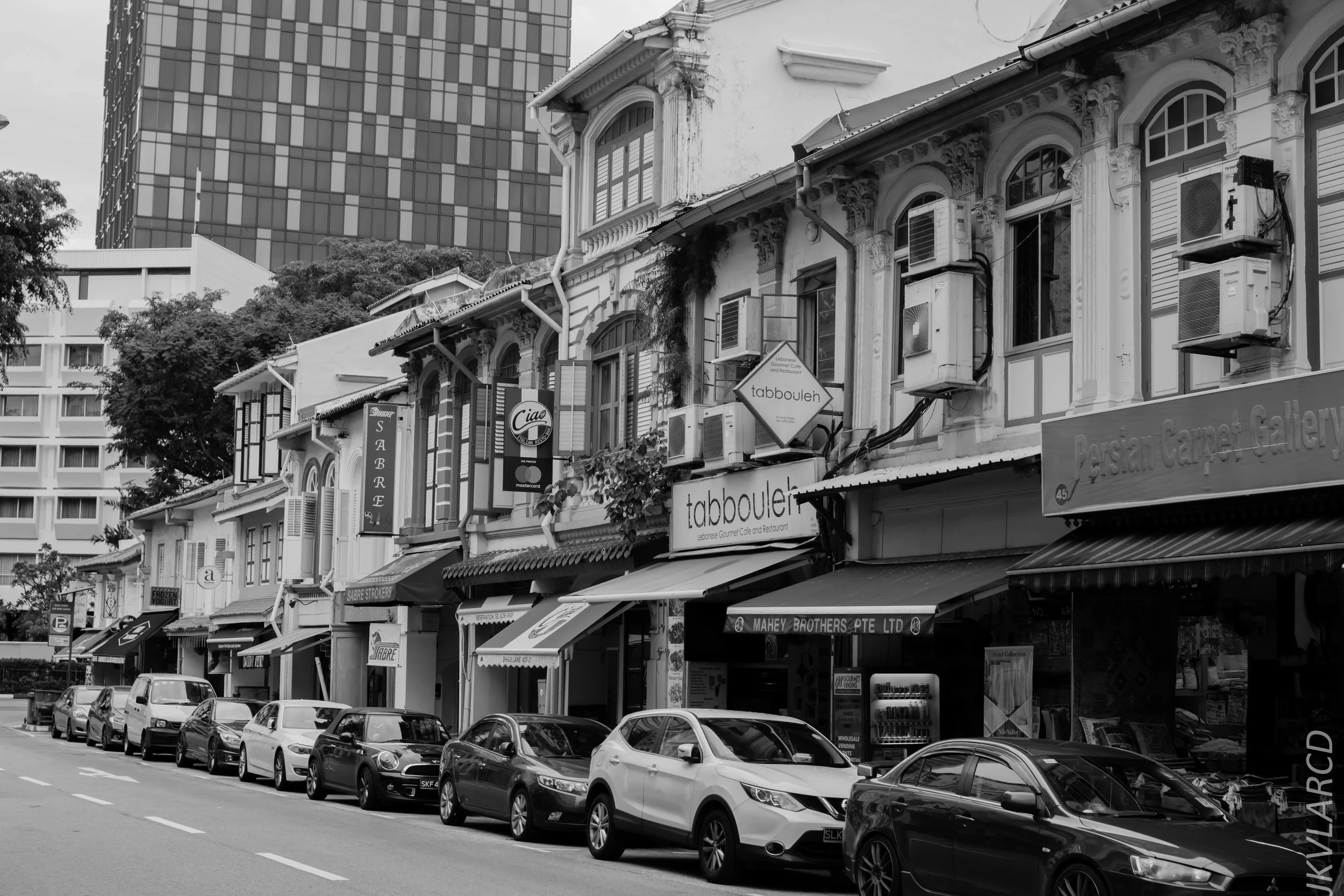 EOS 7D Mark II_2018_11_02_3178.jpg