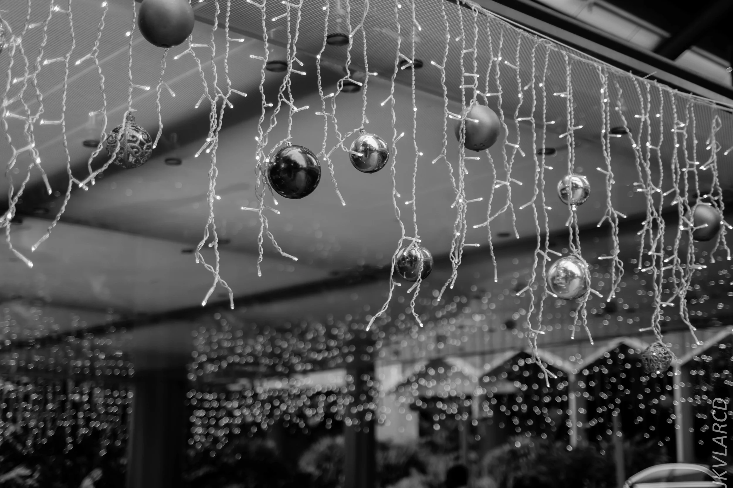 EOS 7D Mark II_2018_11_02_3183.jpg