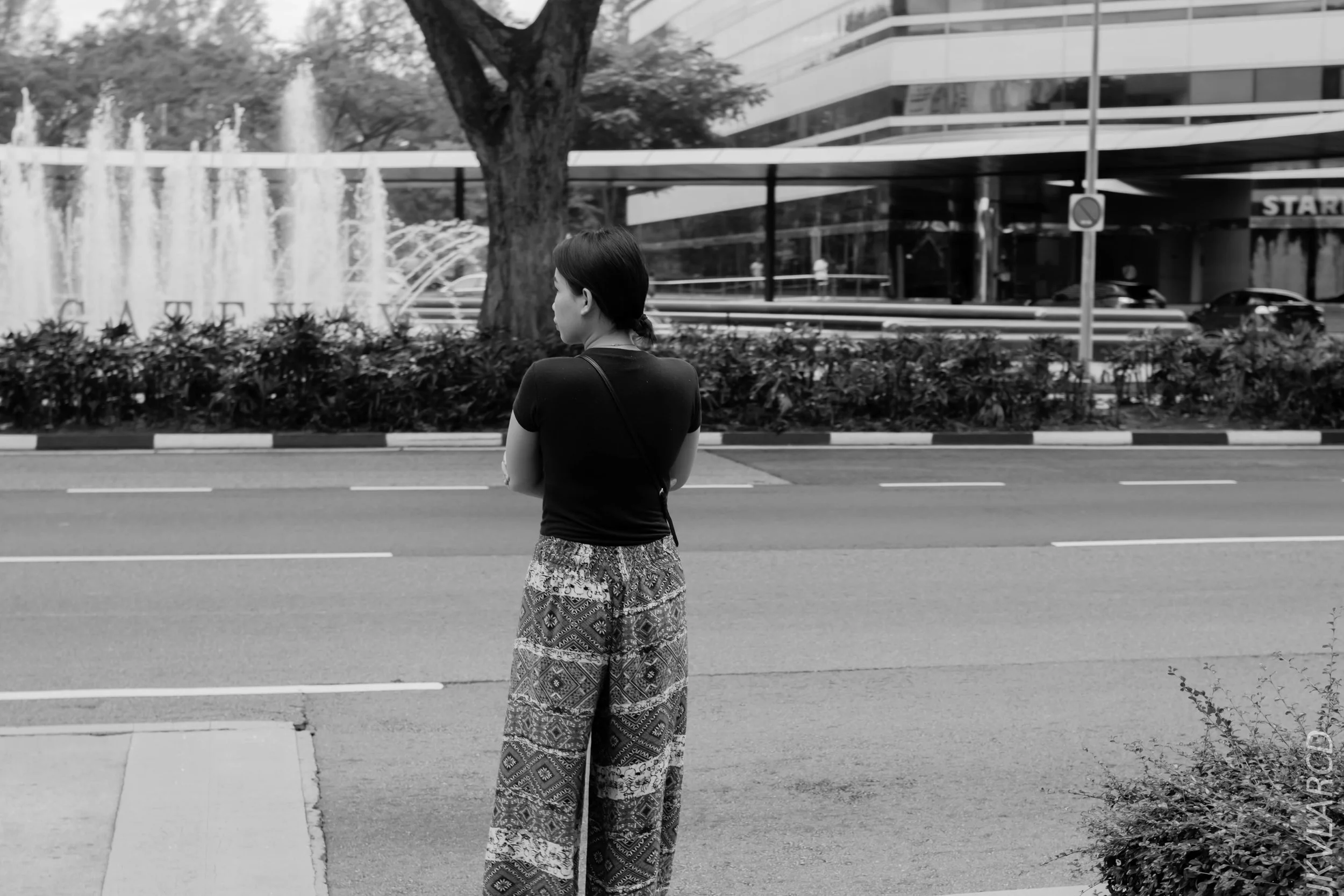 EOS 7D Mark II_2018_11_02_3184.jpg