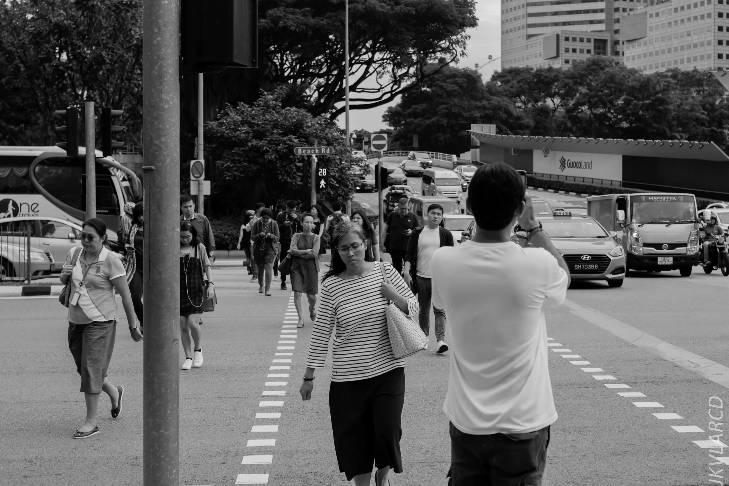 EOS 7D Mark II_2018_11_02_3187.jpg