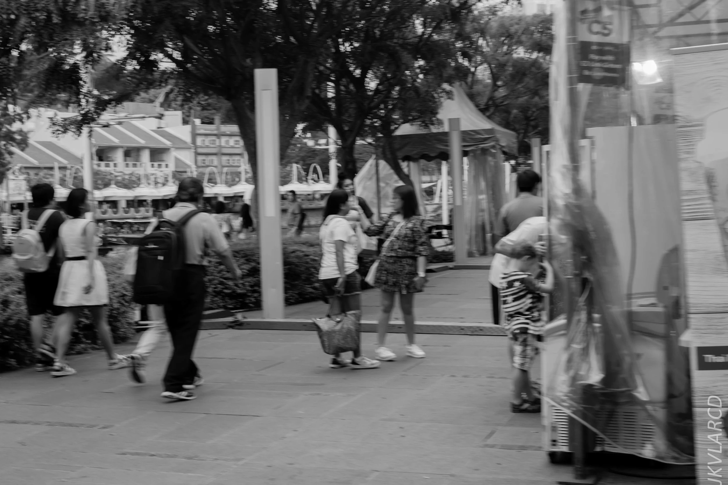 EOS 7D Mark II_2018_11_06_3307.jpg