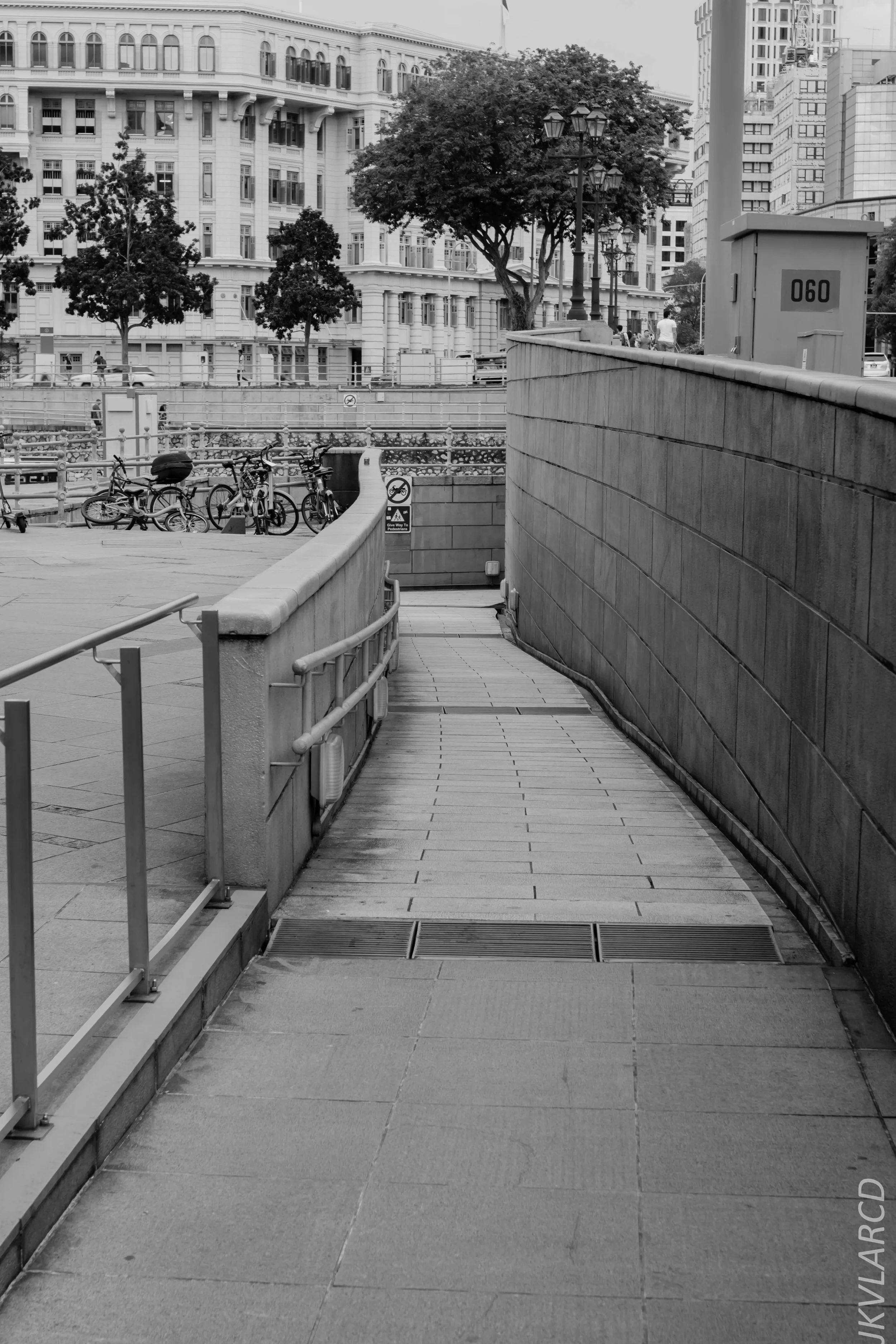 EOS 7D Mark II_2018_11_06_3358.jpg