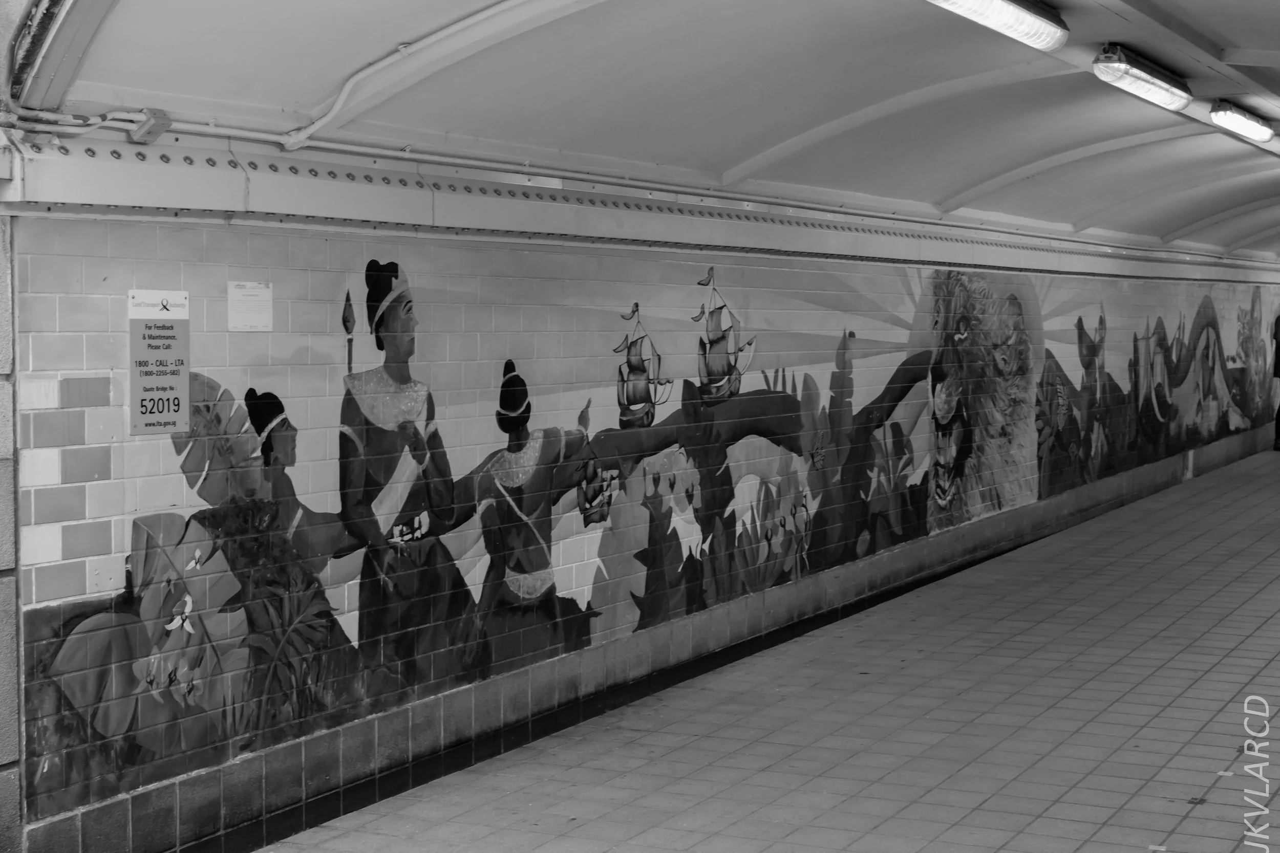 EOS 7D Mark II_2018_11_06_3359.jpg