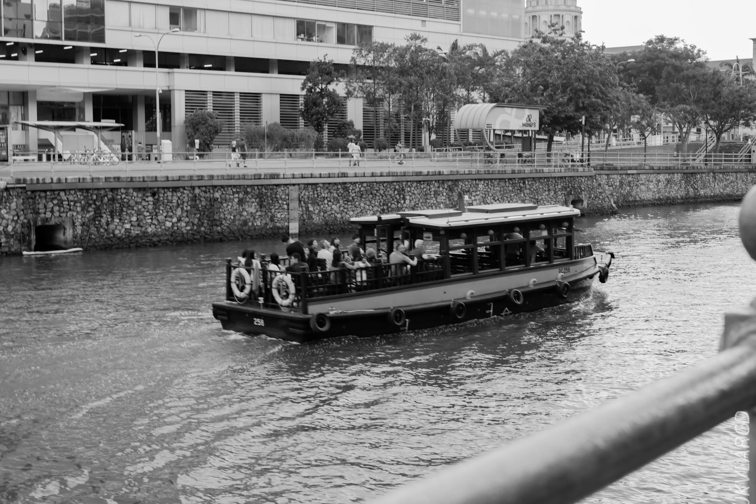 EOS 7D Mark II_2018_11_06_3364.jpg