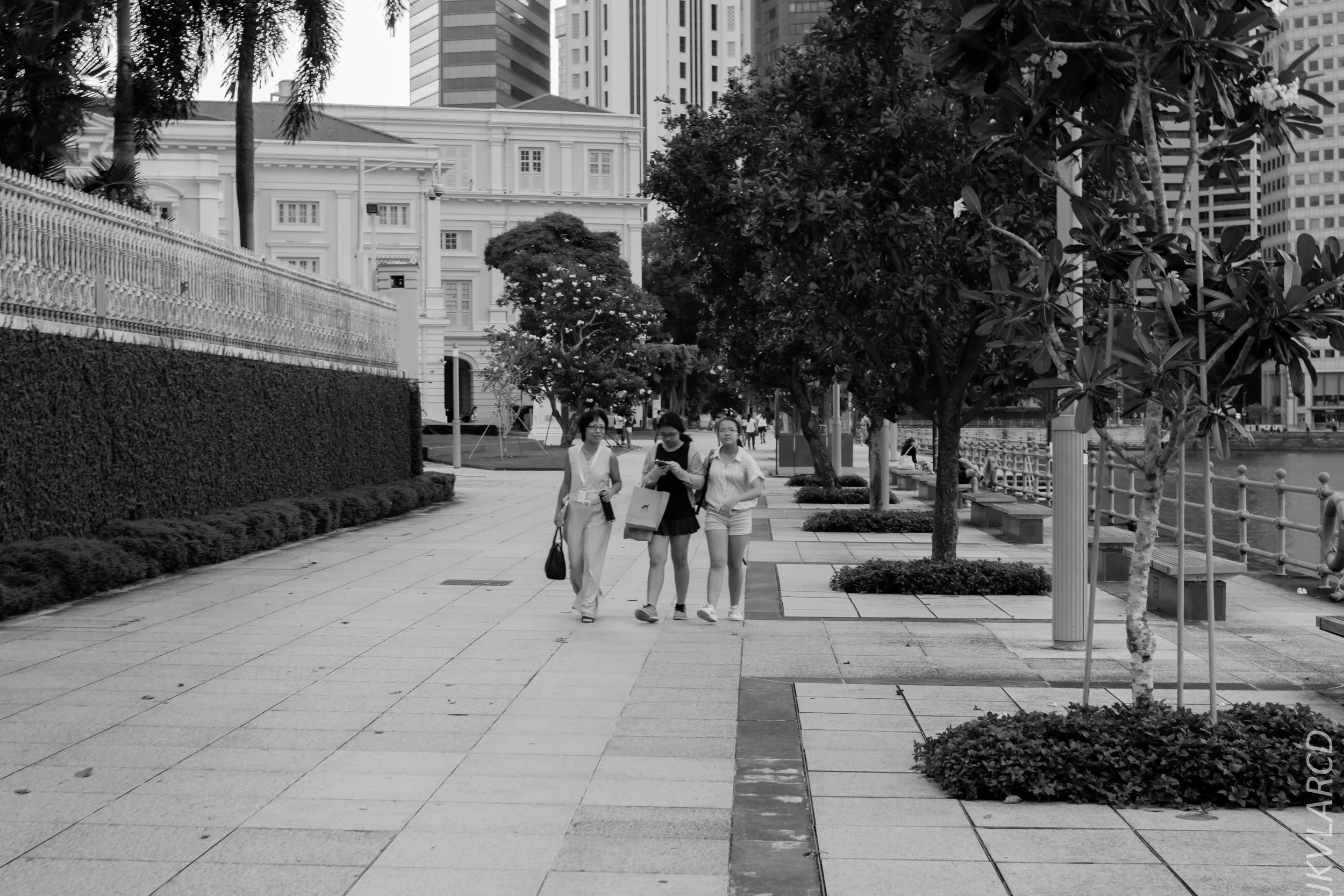 EOS 7D Mark II_2018_11_06_3376.jpg