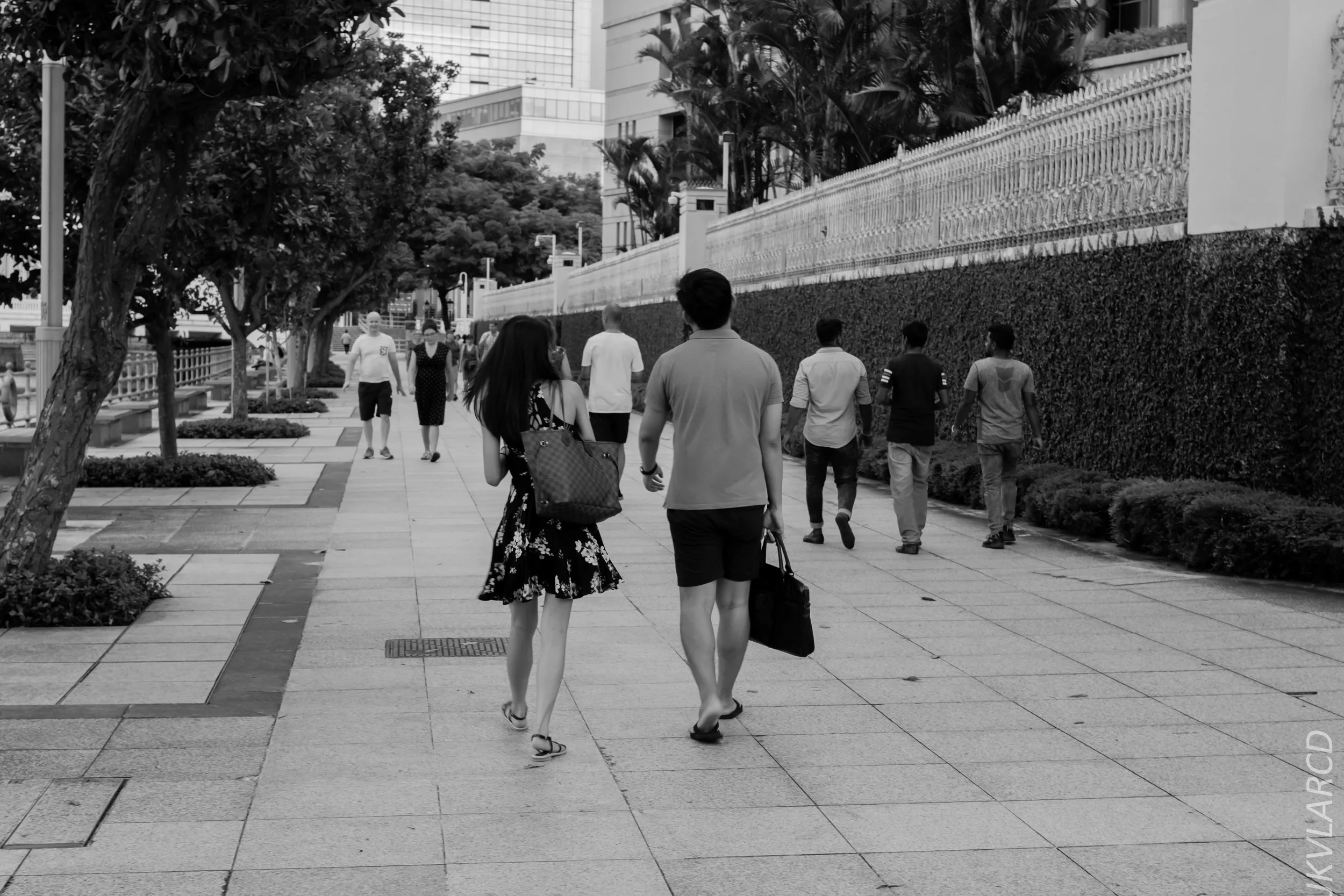 EOS 7D Mark II_2018_11_06_3377.jpg