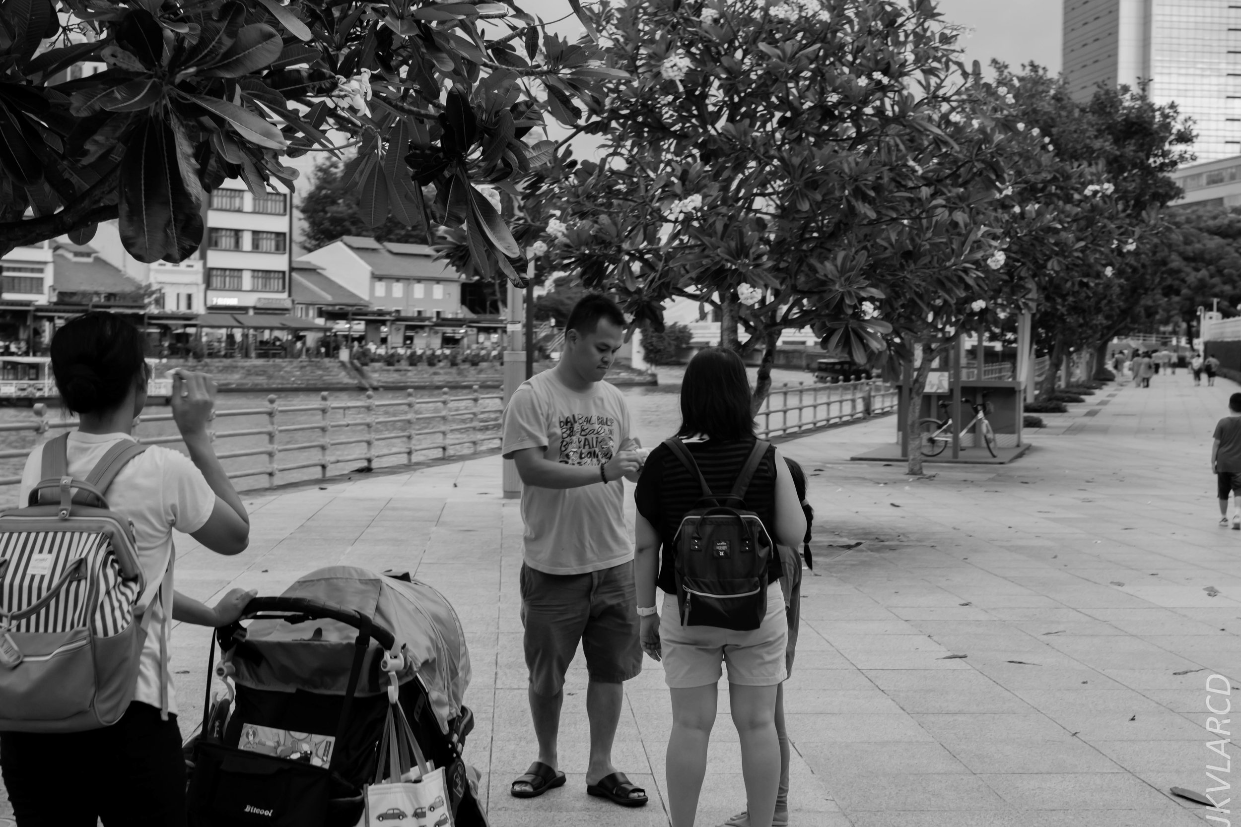 EOS 7D Mark II_2018_11_06_3383.jpg