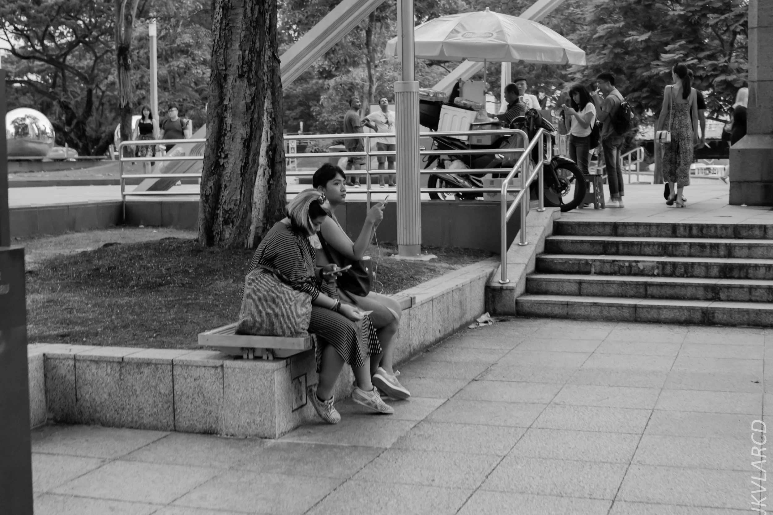 EOS 7D Mark II_2018_11_06_3430.jpg