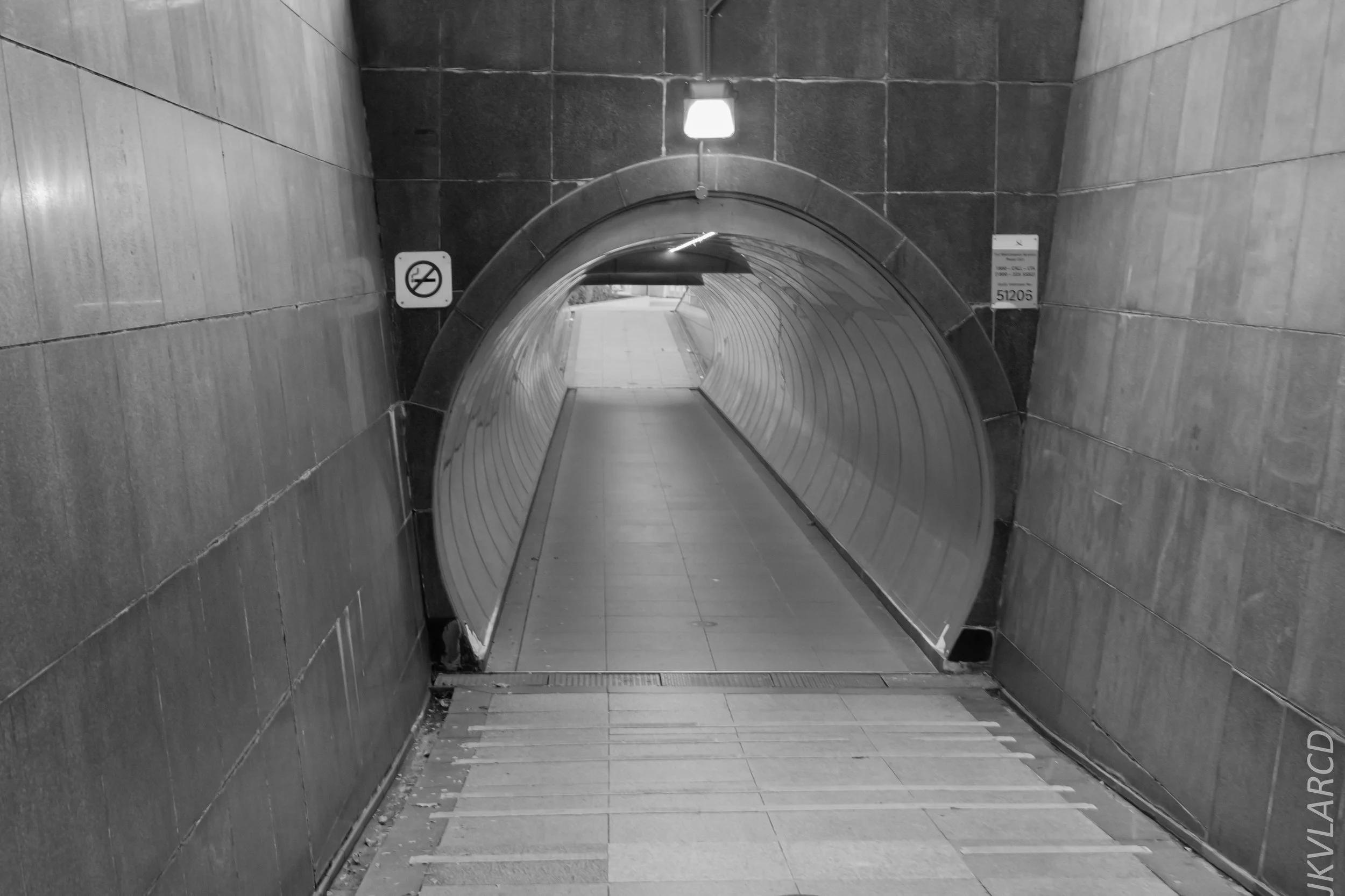 EOS 7D Mark II_2018_11_06_3439.jpg