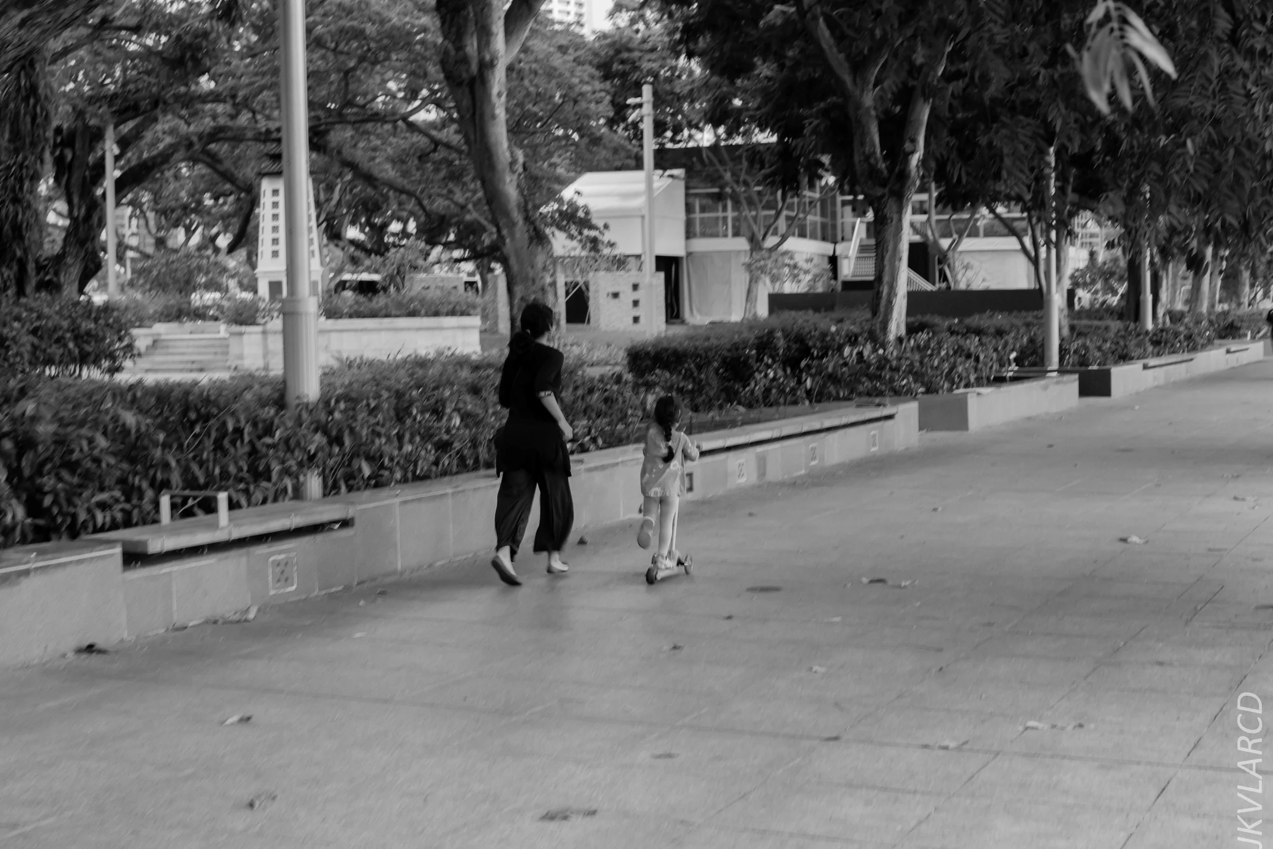 EOS 7D Mark II_2018_11_06_3441.jpg