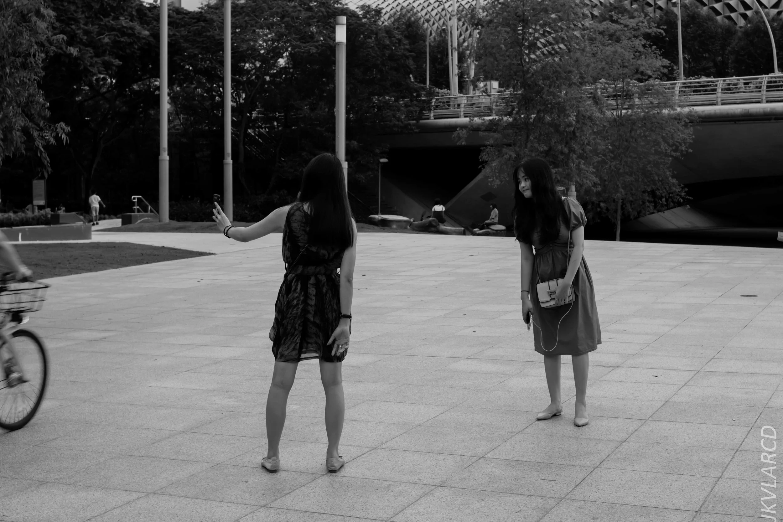 EOS 7D Mark II_2018_11_06_3446.jpg