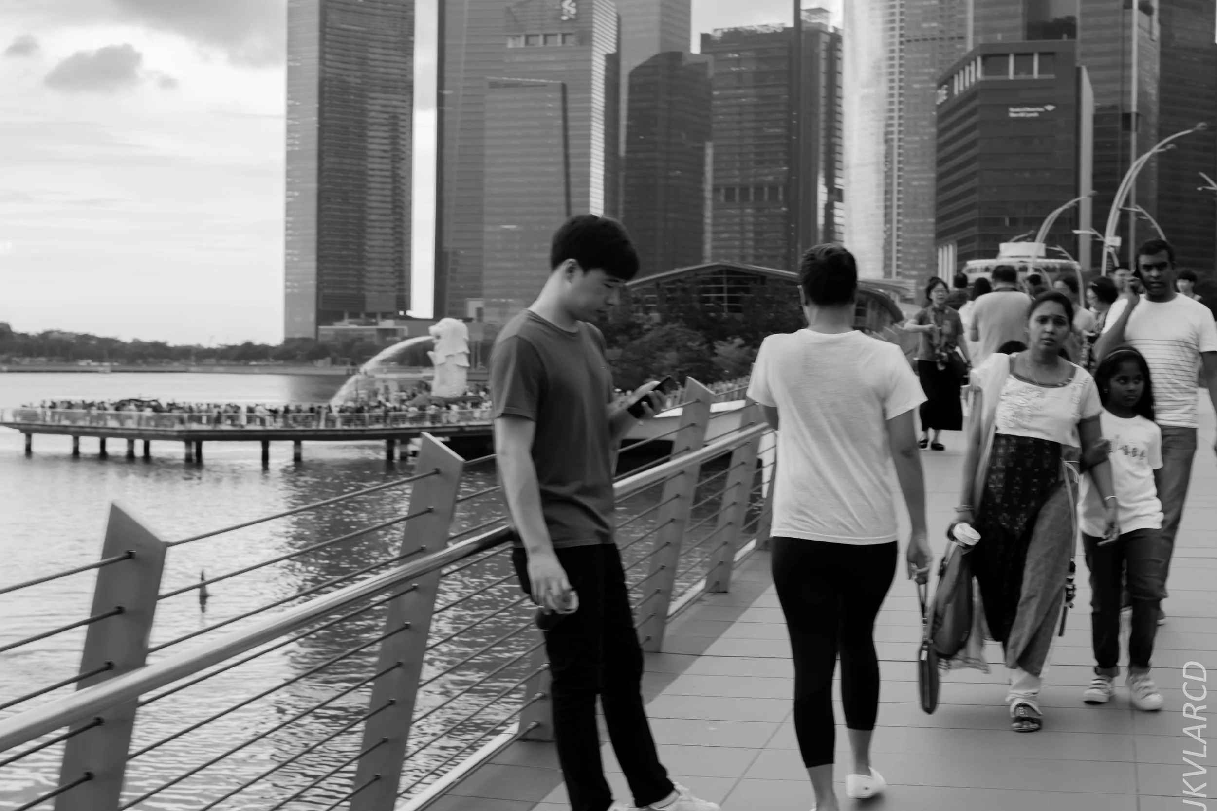 EOS 7D Mark II_2018_11_06_3452.jpg