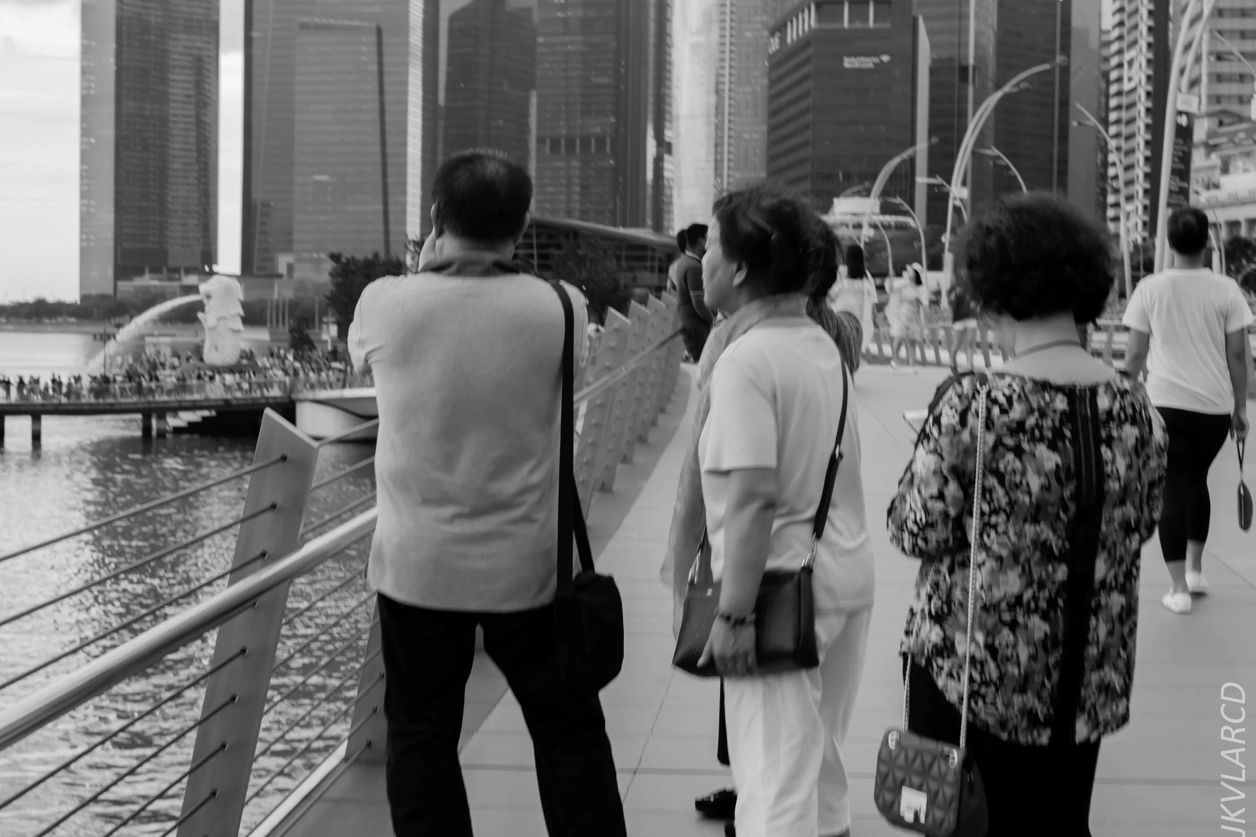 EOS 7D Mark II_2018_11_06_3453.jpg