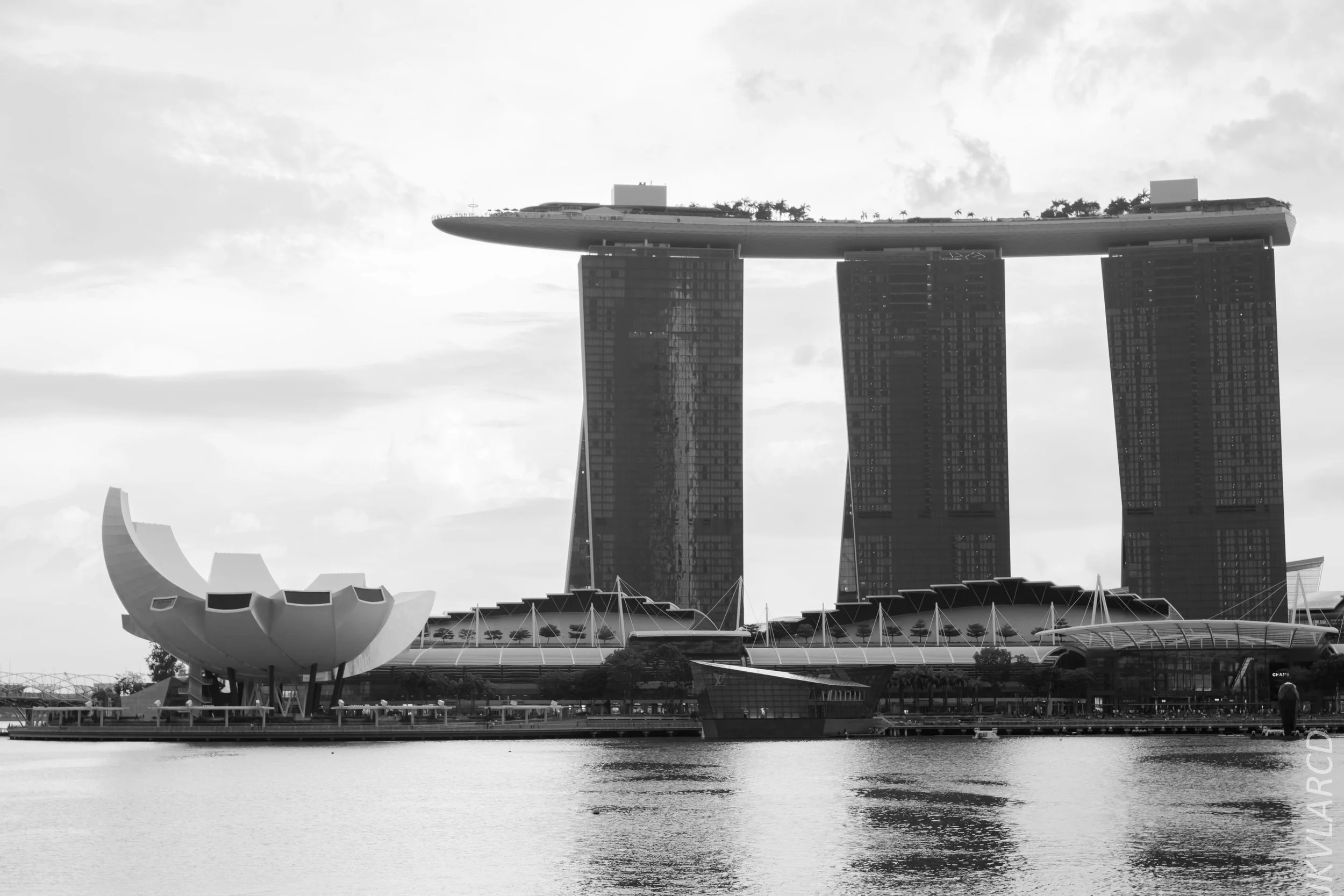 EOS 7D Mark II_2018_11_06_3456.jpg