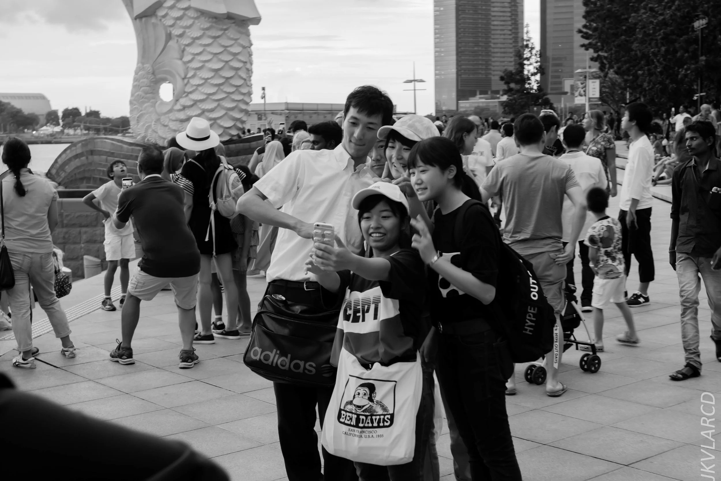 EOS 7D Mark II_2018_11_06_3459.jpg