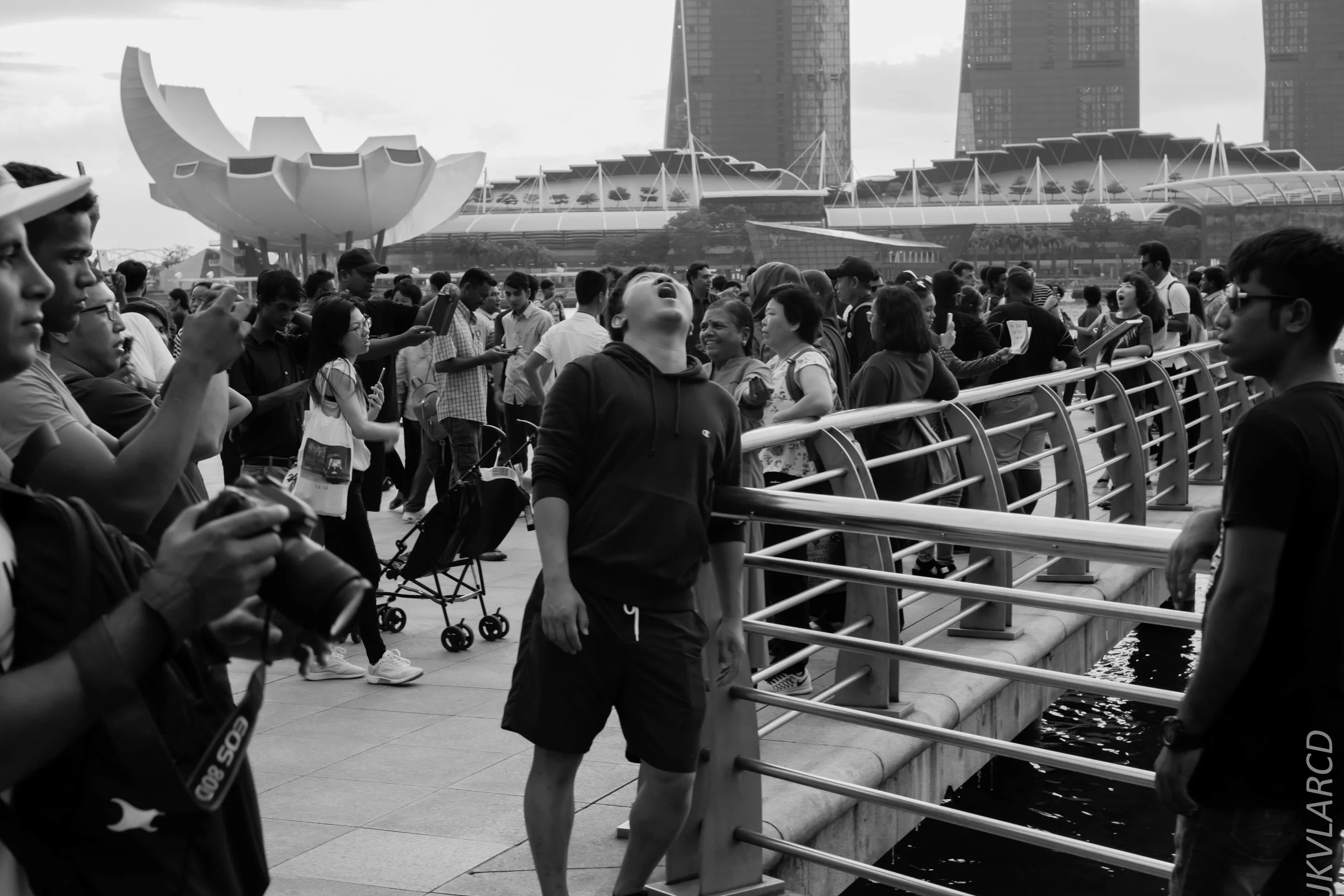 EOS 7D Mark II_2018_11_06_3460.jpg