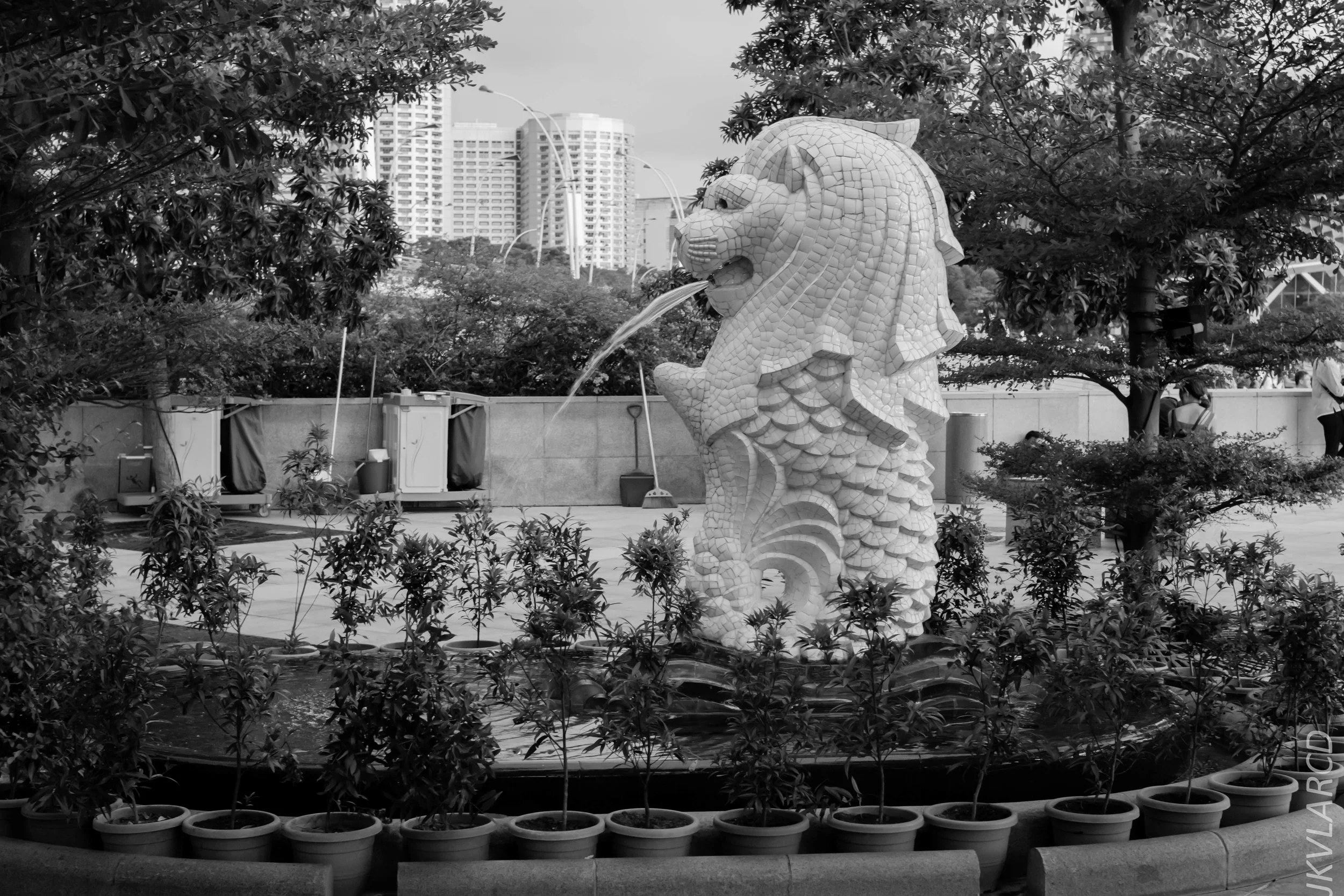 EOS 7D Mark II_2018_11_06_3467.jpg