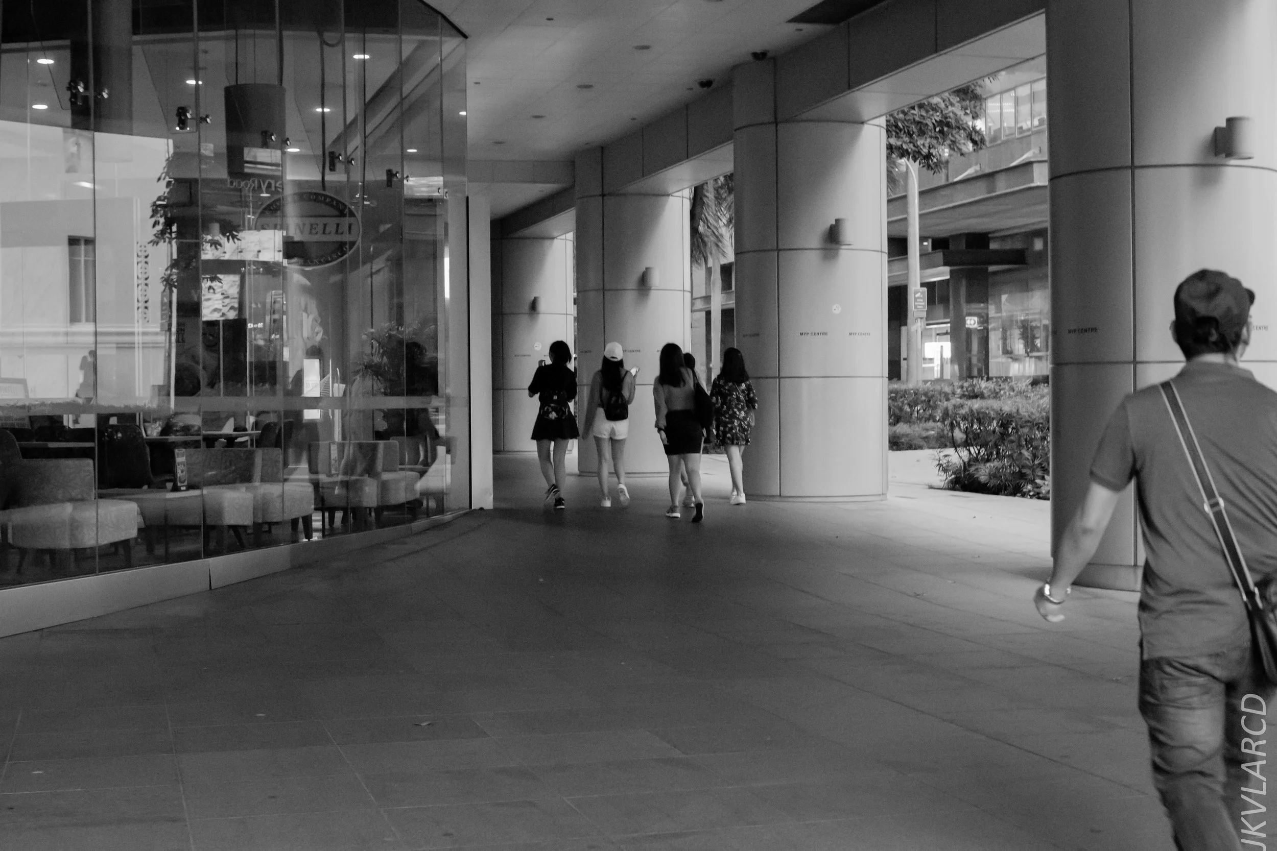 EOS 7D Mark II_2018_11_06_3478.jpg