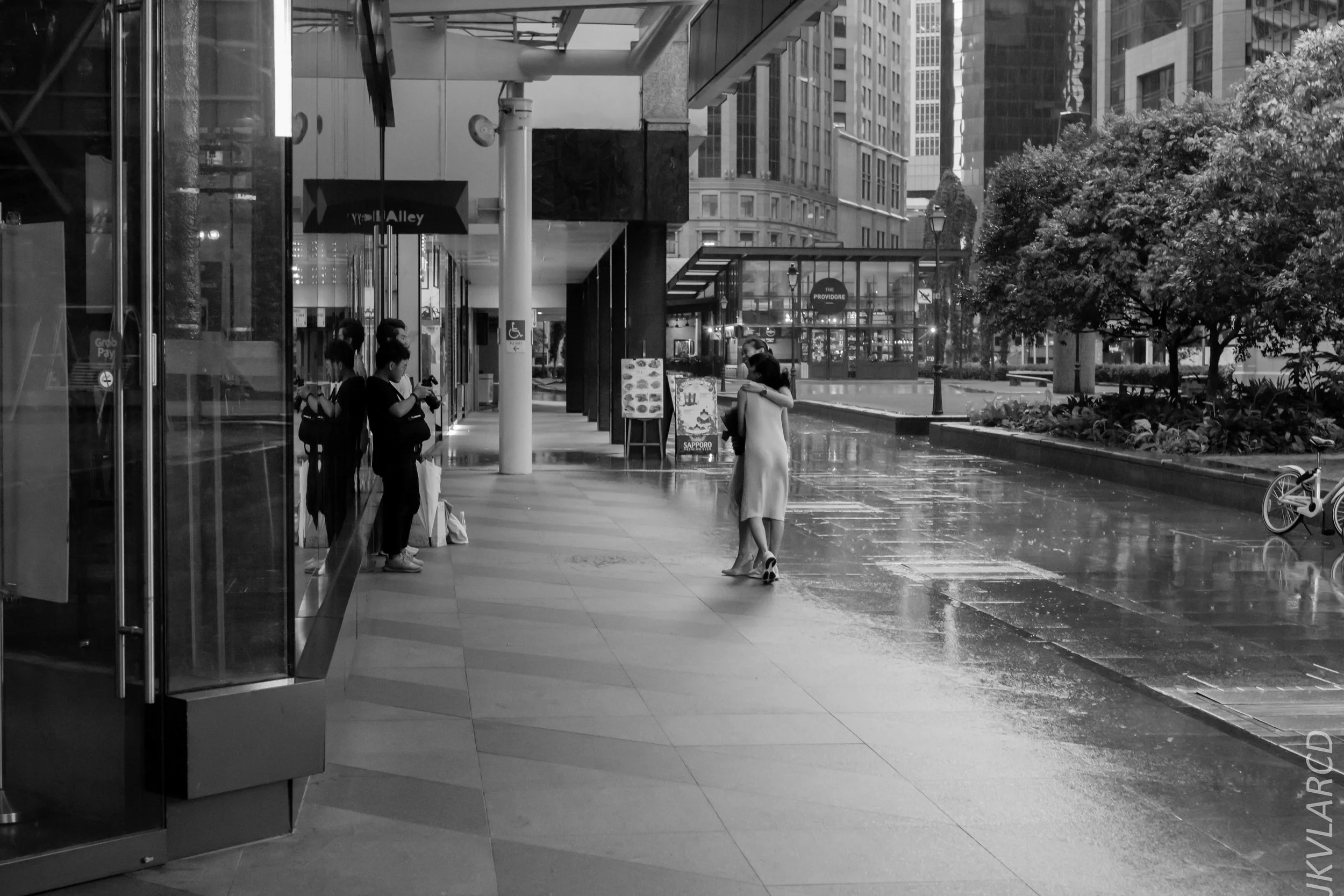 EOS 7D Mark II_2018_11_06_3481.jpg