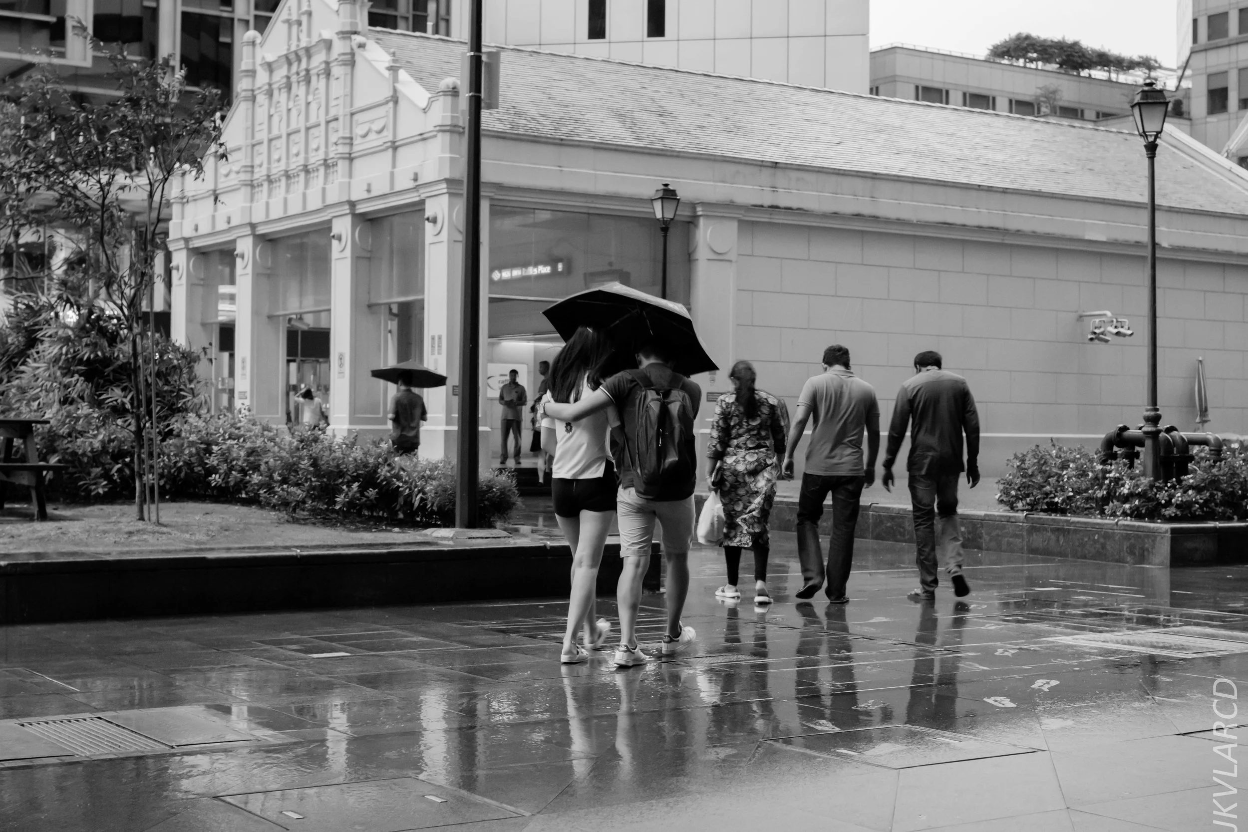 EOS 7D Mark II_2018_11_06_3483.jpg