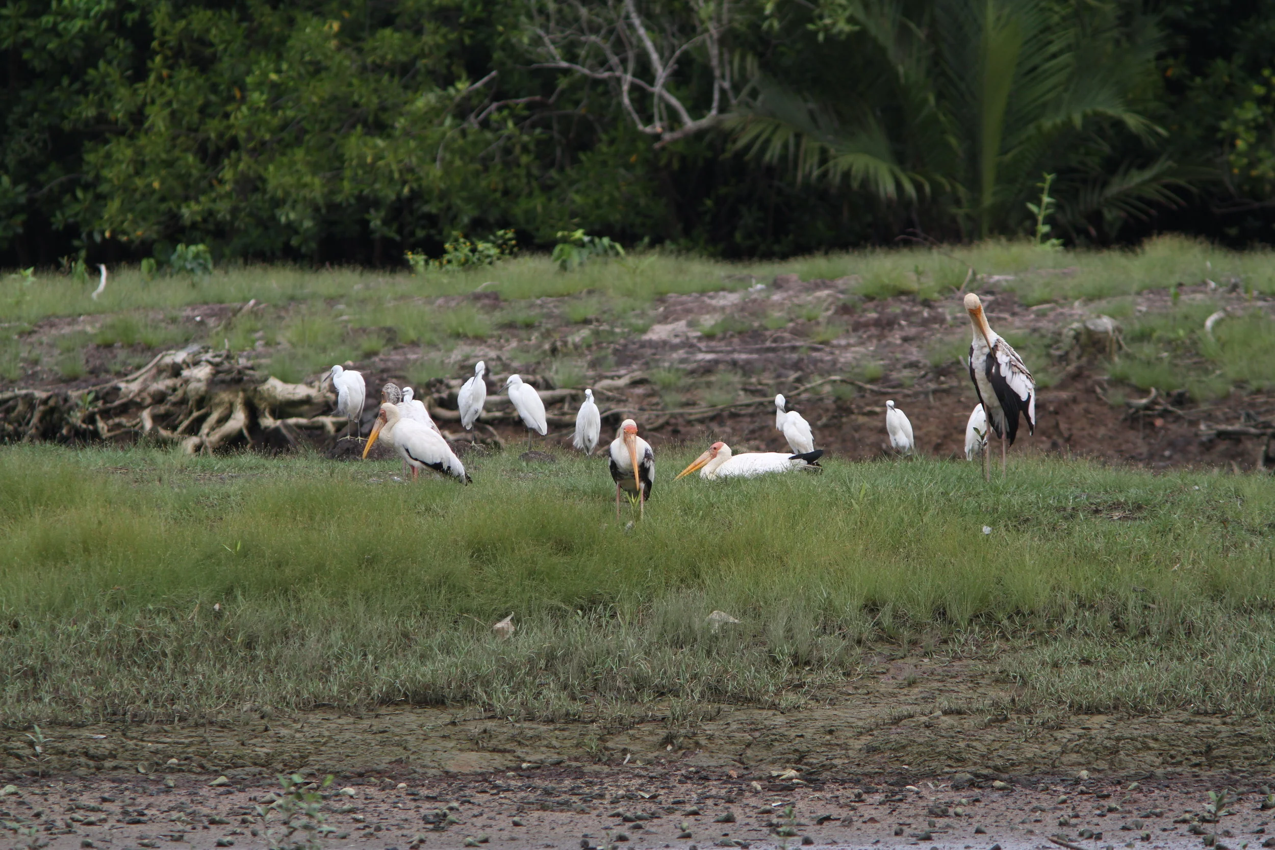 EOS 7D_2018_11_11_8397.JPG