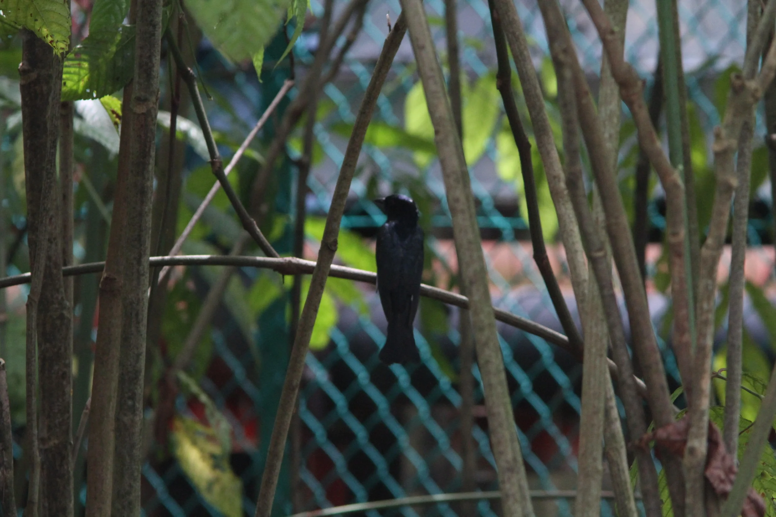 EOS 7D_2018_11_11_8409.JPG