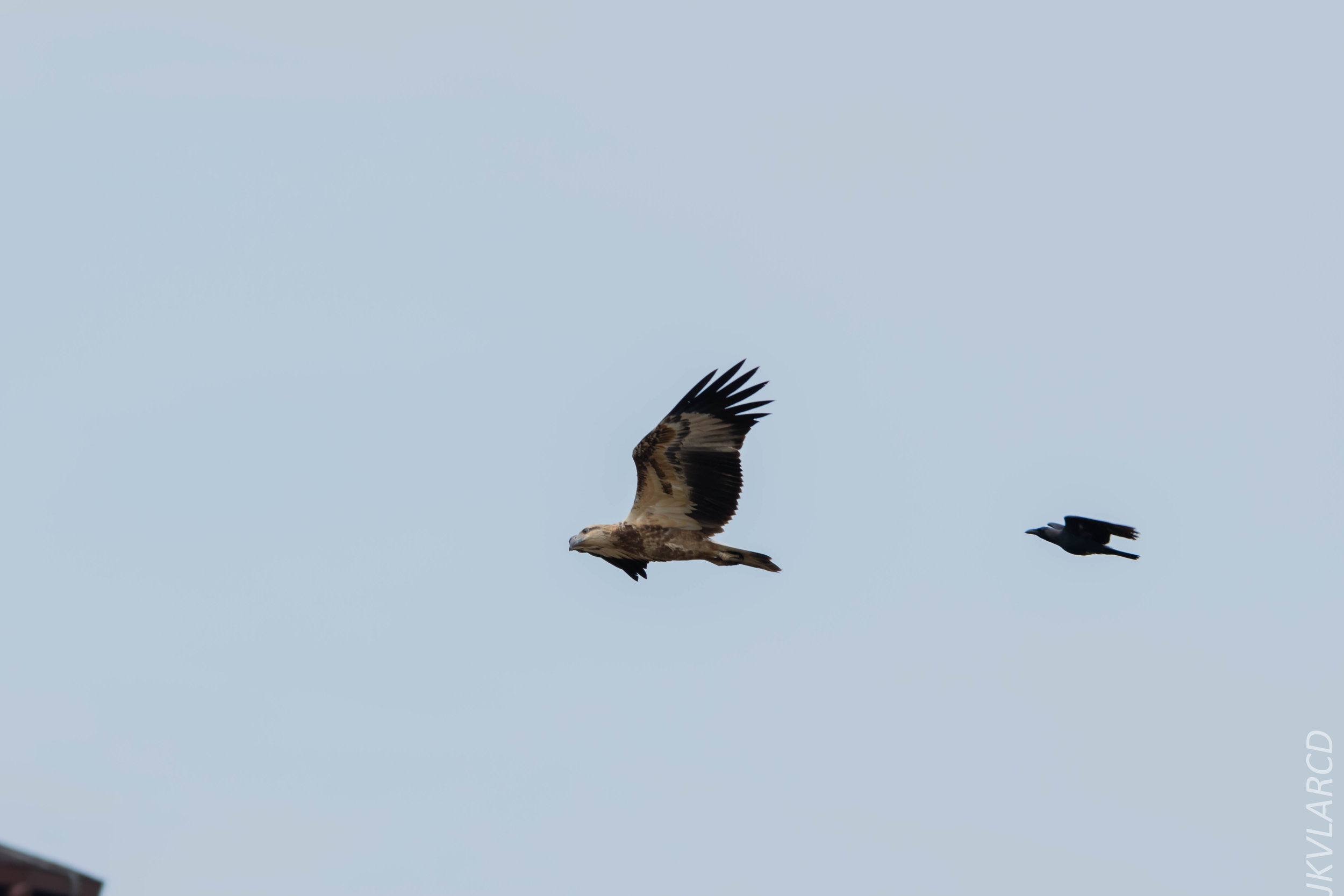 EOS 7D Mark II_2018_11_24_9377.jpg