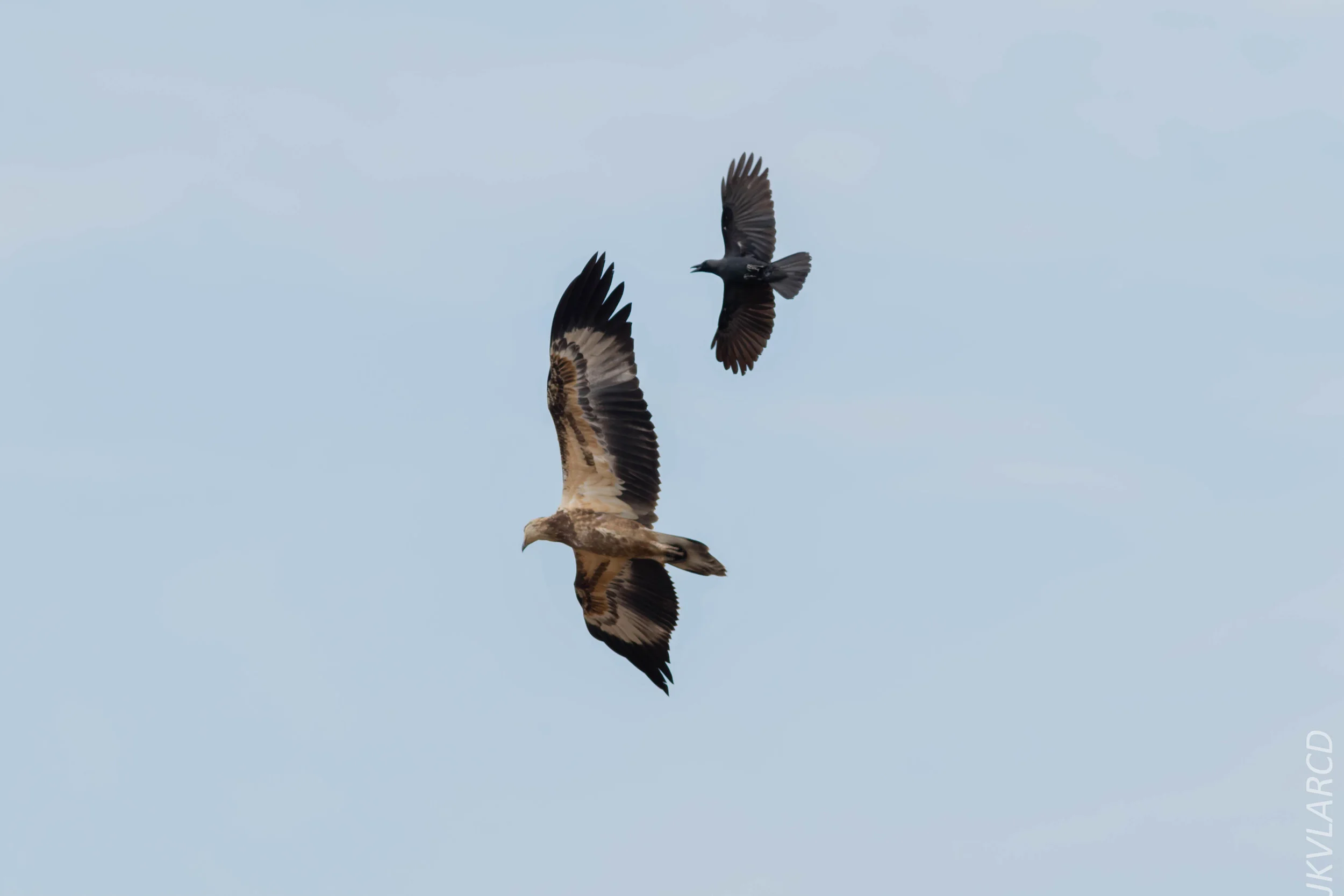 EOS 7D Mark II_2018_11_24_9380.jpg