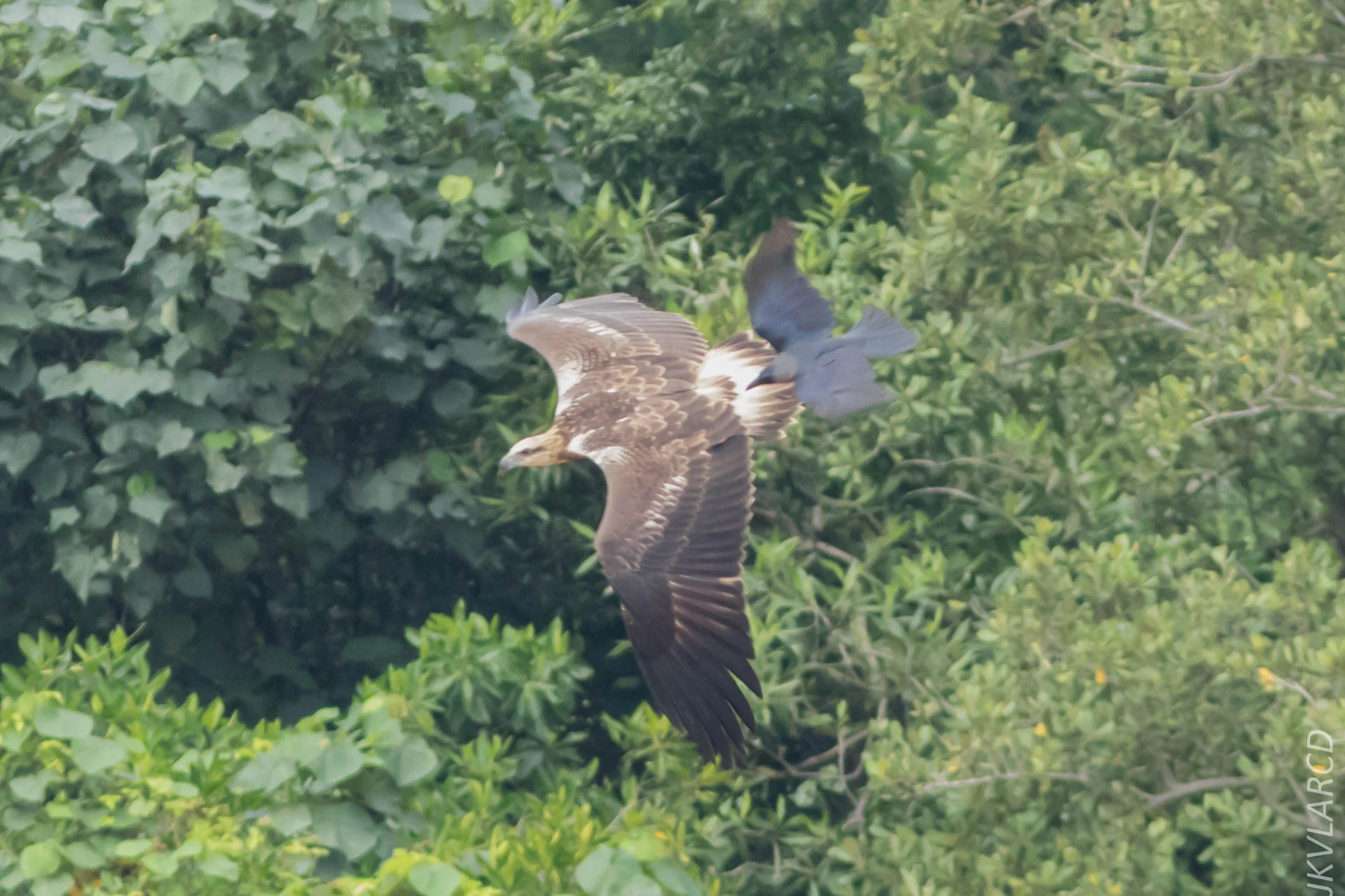 EOS 7D Mark II_2018_11_24_9422.jpg