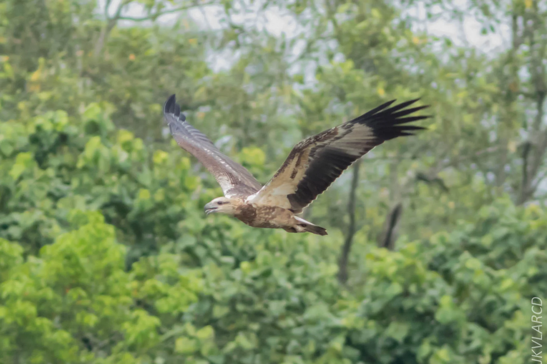 EOS 7D Mark II_2018_11_24_9469.jpg