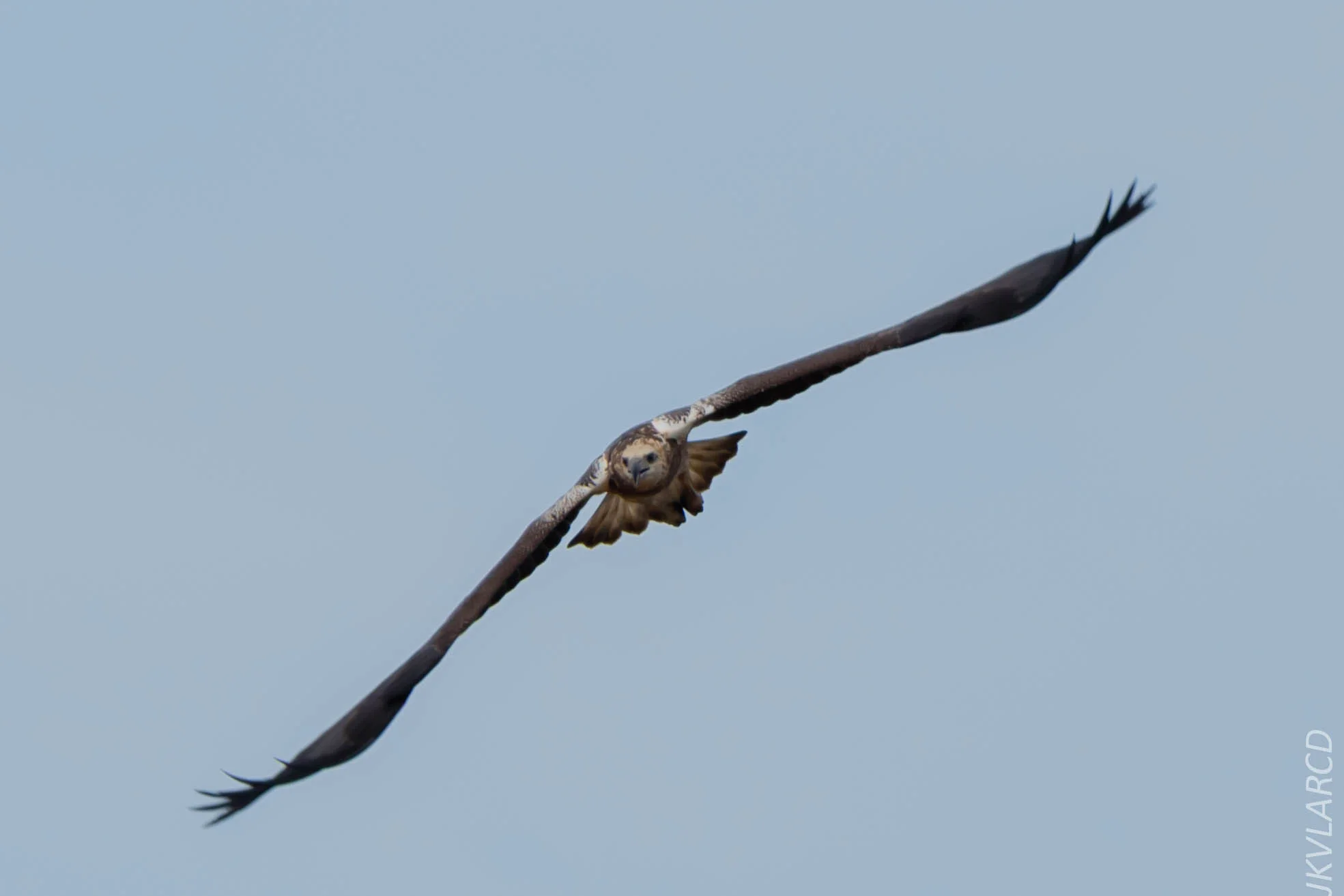 EOS 7D Mark II_2018_11_24_9654.jpg