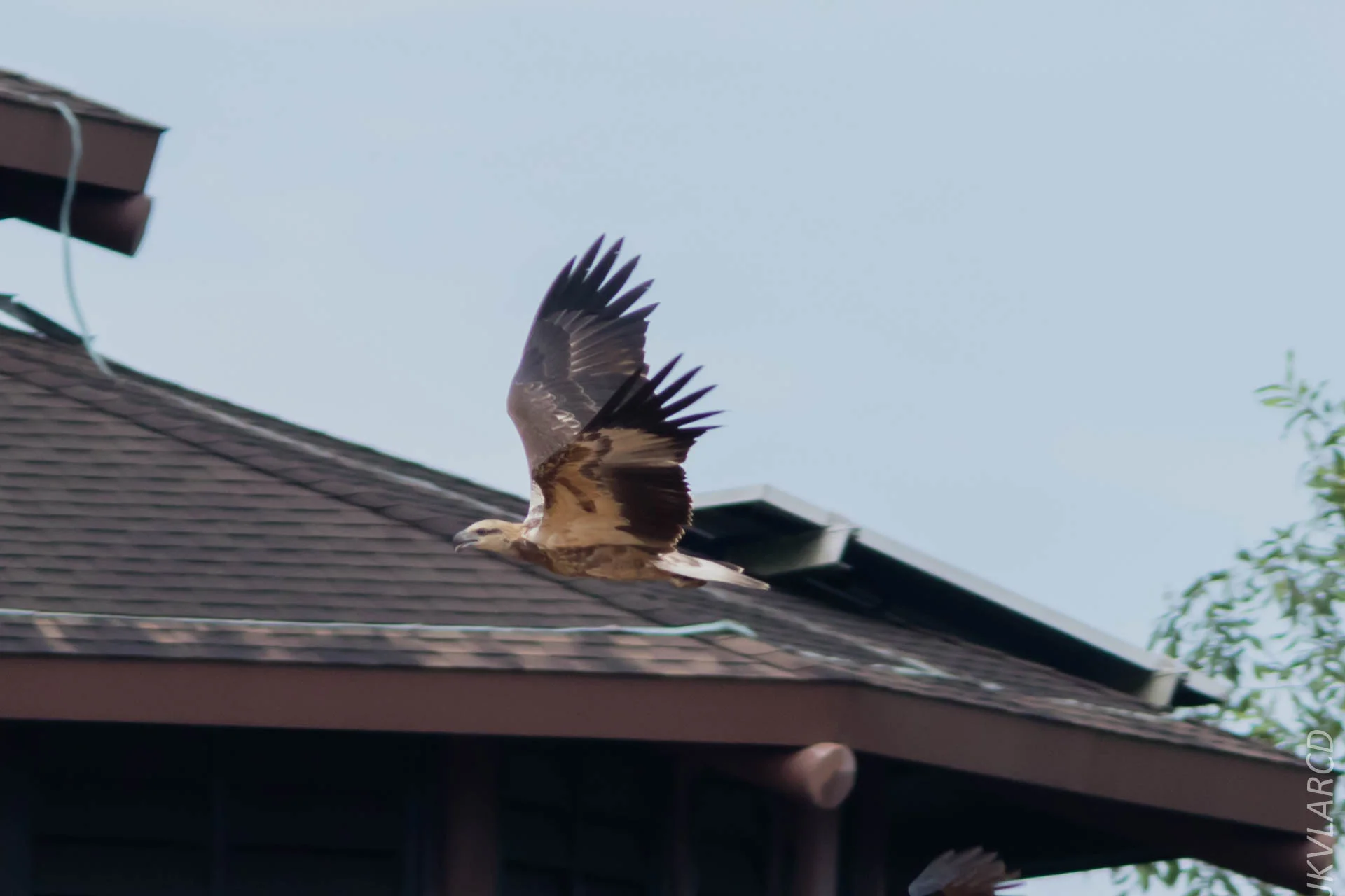 EOS 7D Mark II_2018_11_24_9677.jpg