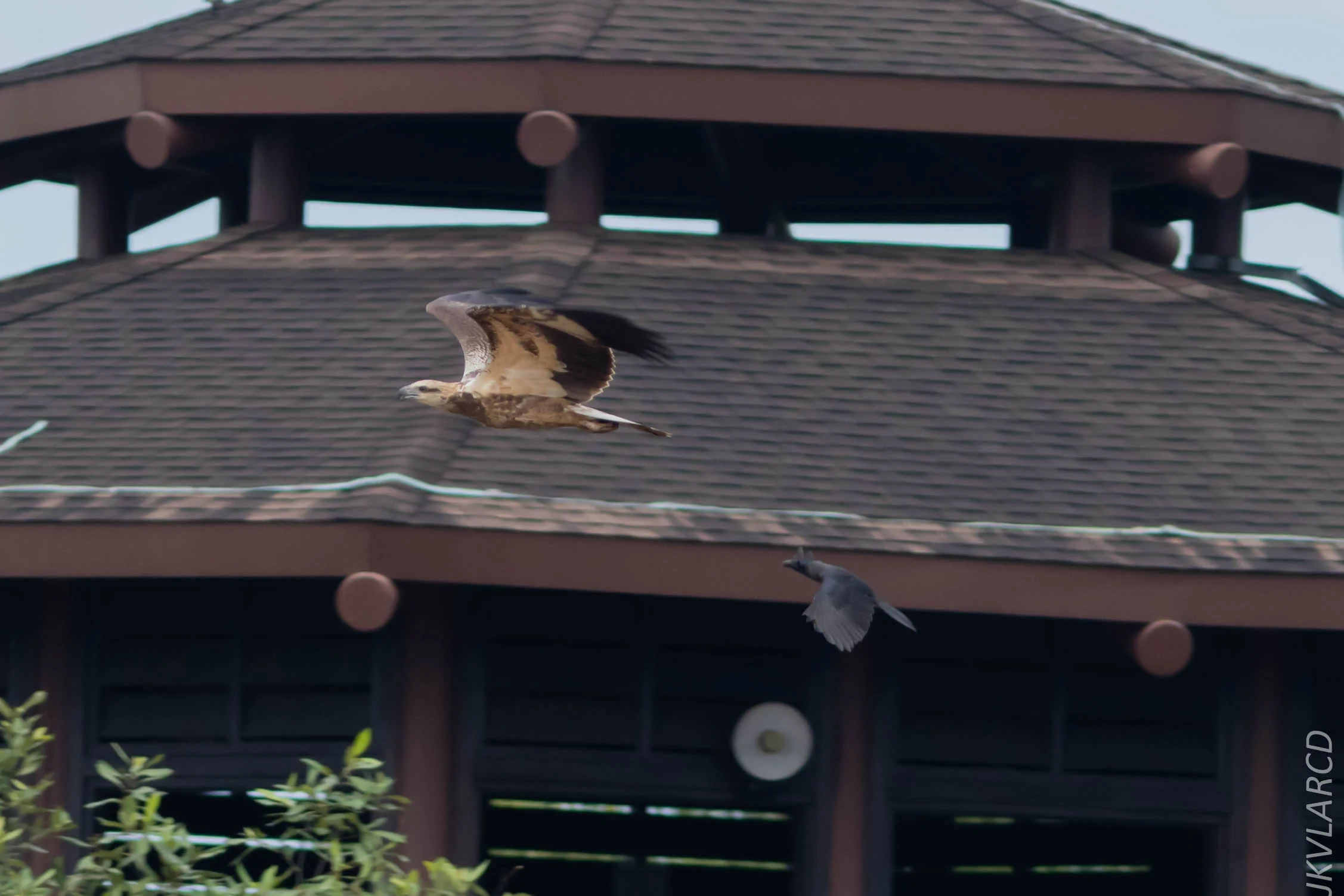 EOS 7D Mark II_2018_11_24_9679.jpg