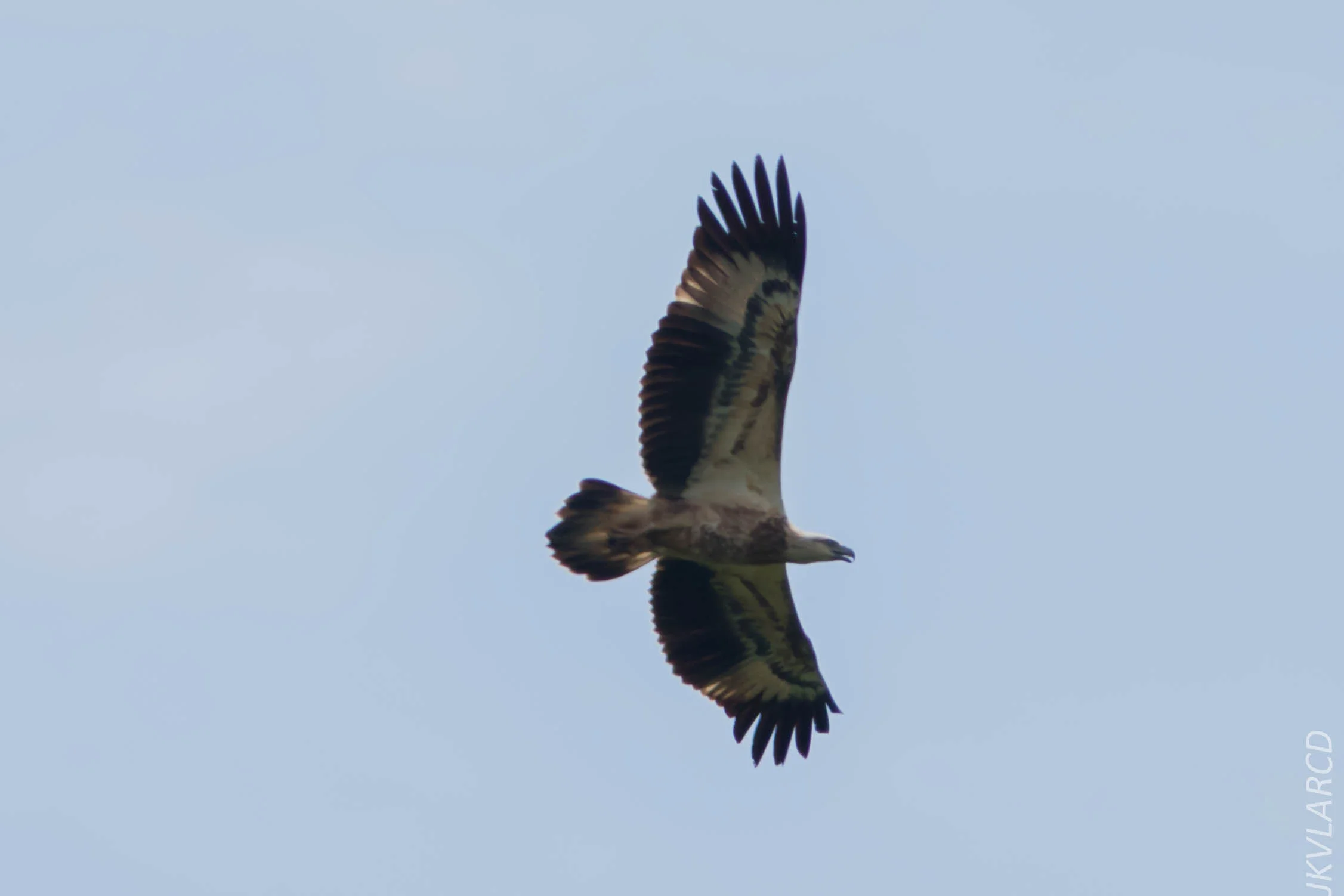 EOS 7D Mark II_2018_11_24_9840.jpg