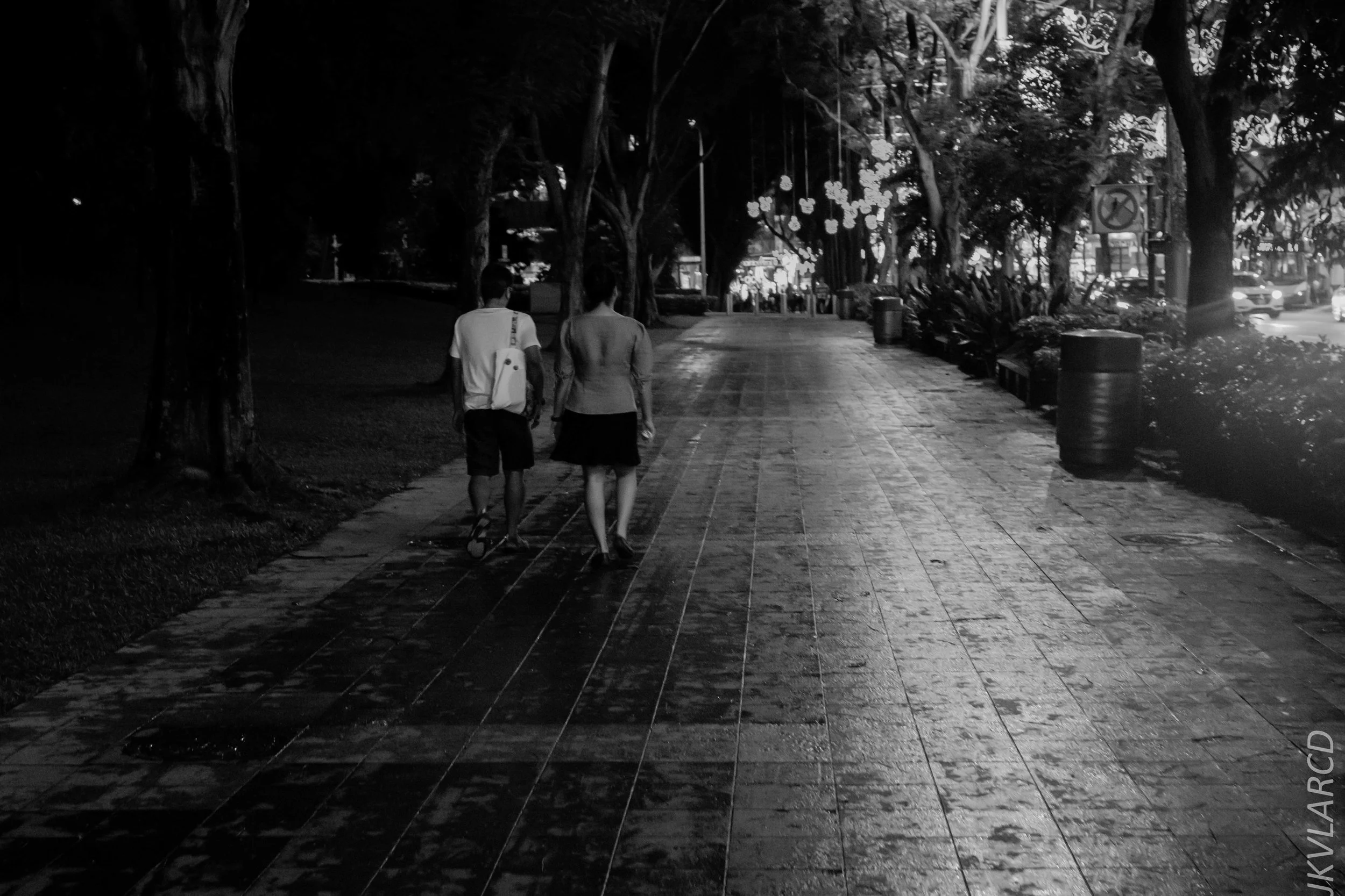 EOS 7D Mark II_2018_12_01_9898.jpg