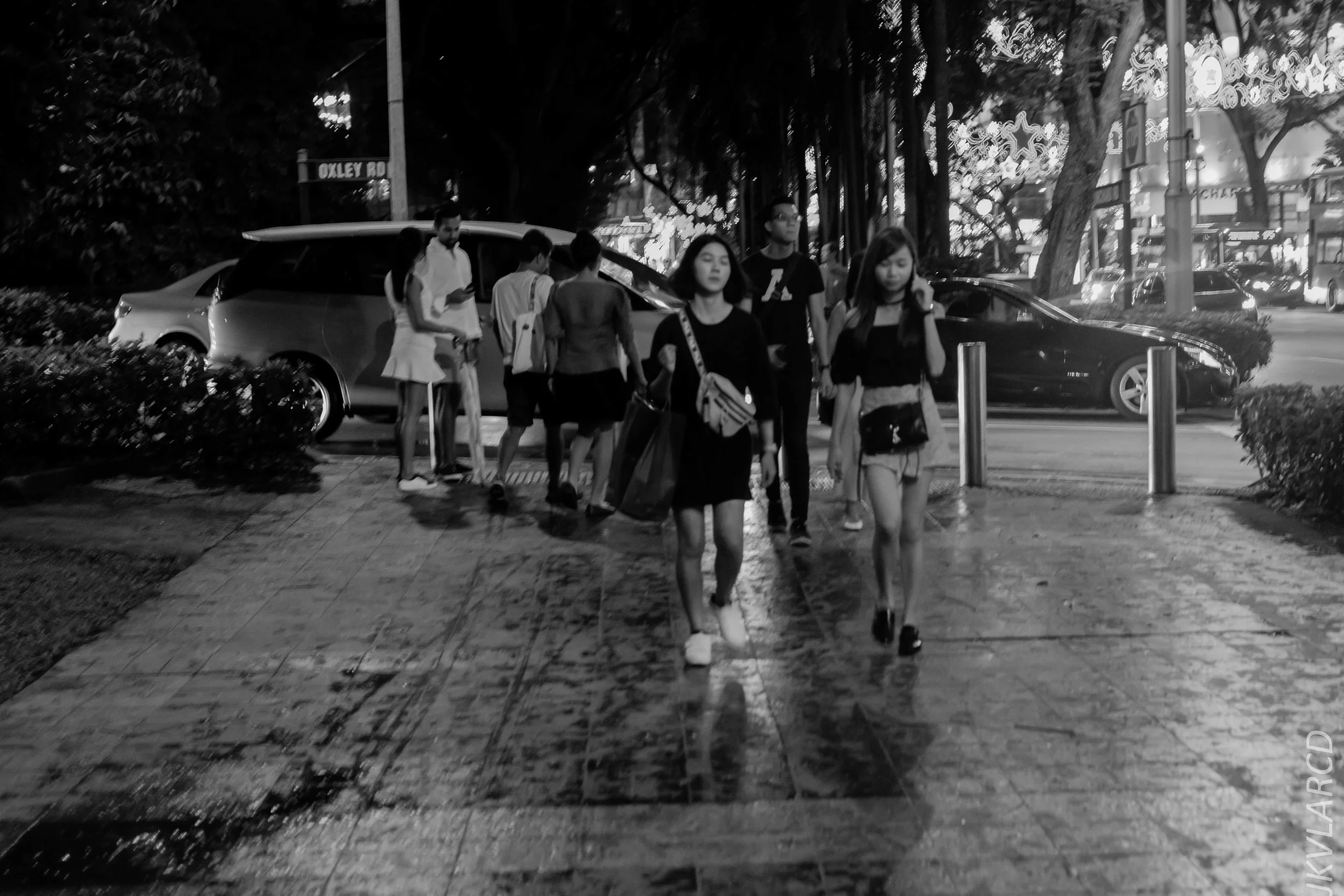 EOS 7D Mark II_2018_12_01_9902.jpg