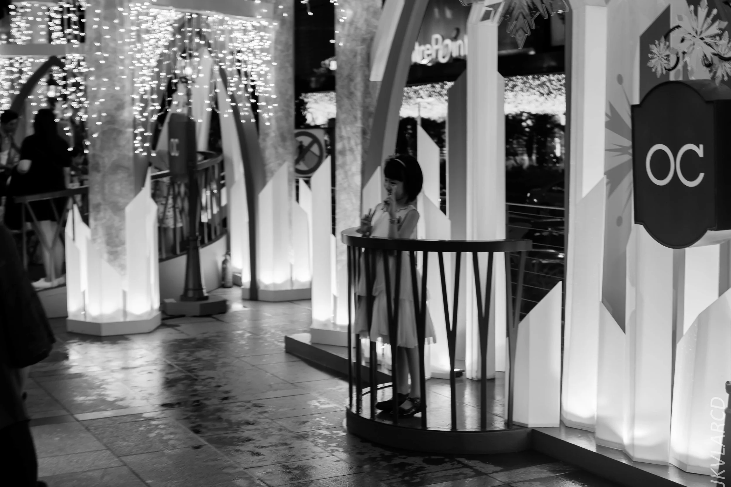 EOS 7D Mark II_2018_12_01_9919.jpg